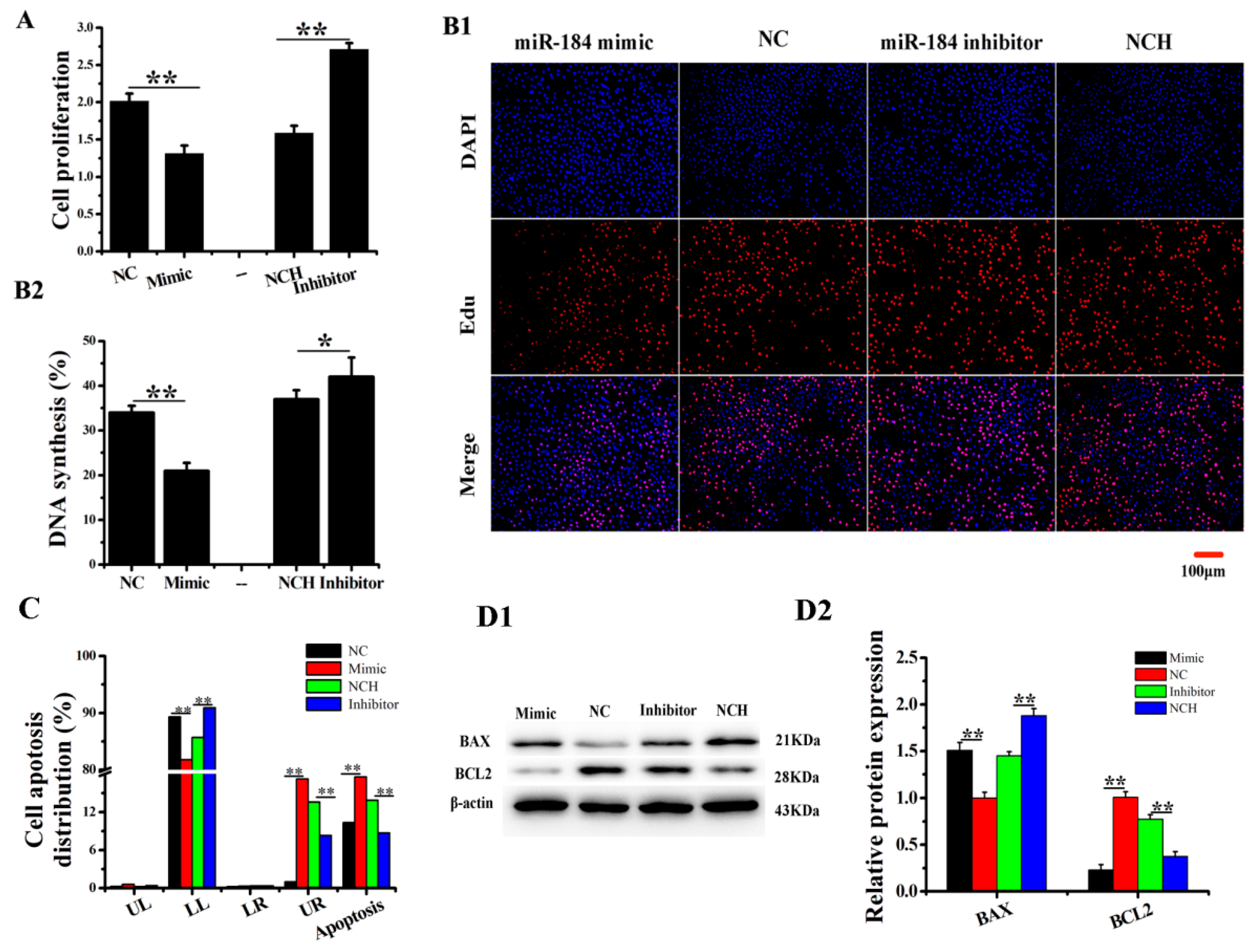 Genes 11 01052 g003 Genes 11 01052 g003