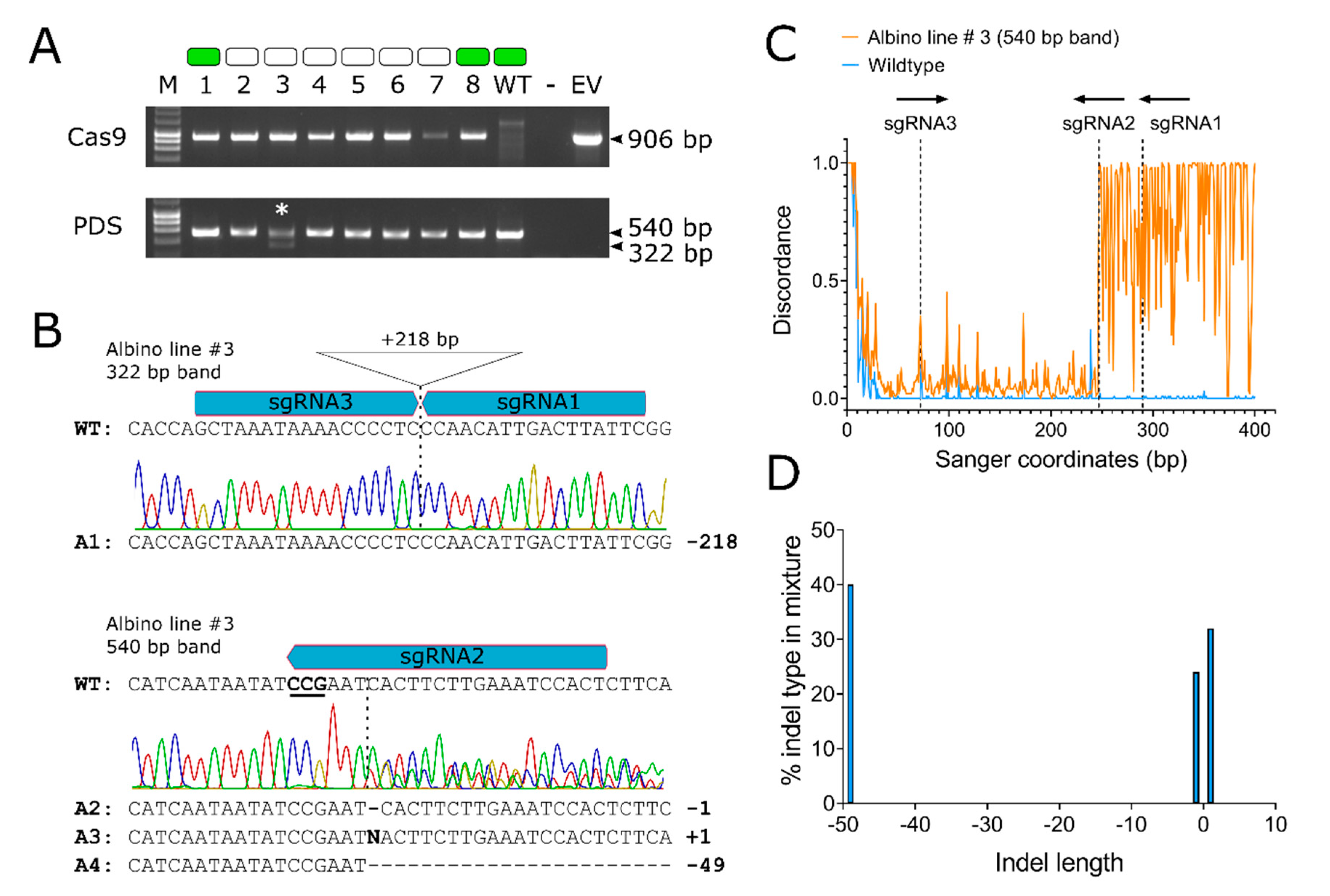 Genes 11 01064 g003