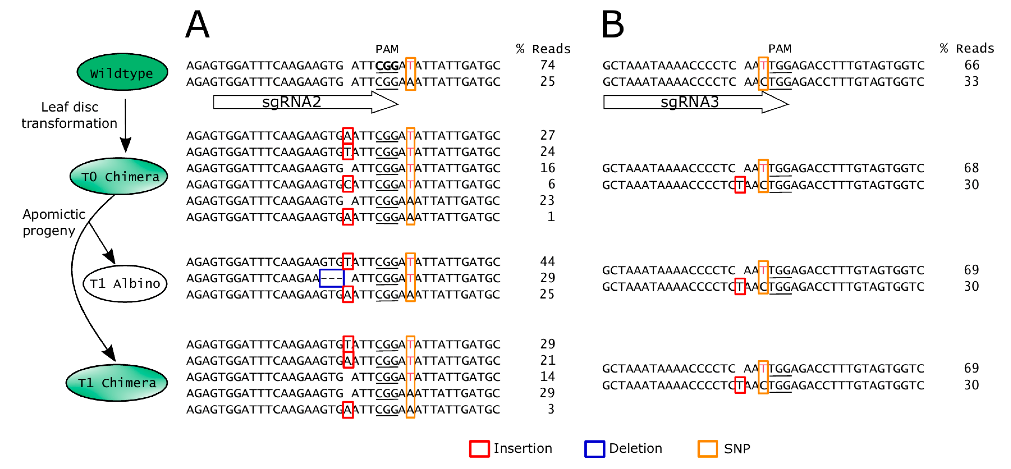 Genes 11 01064 g005