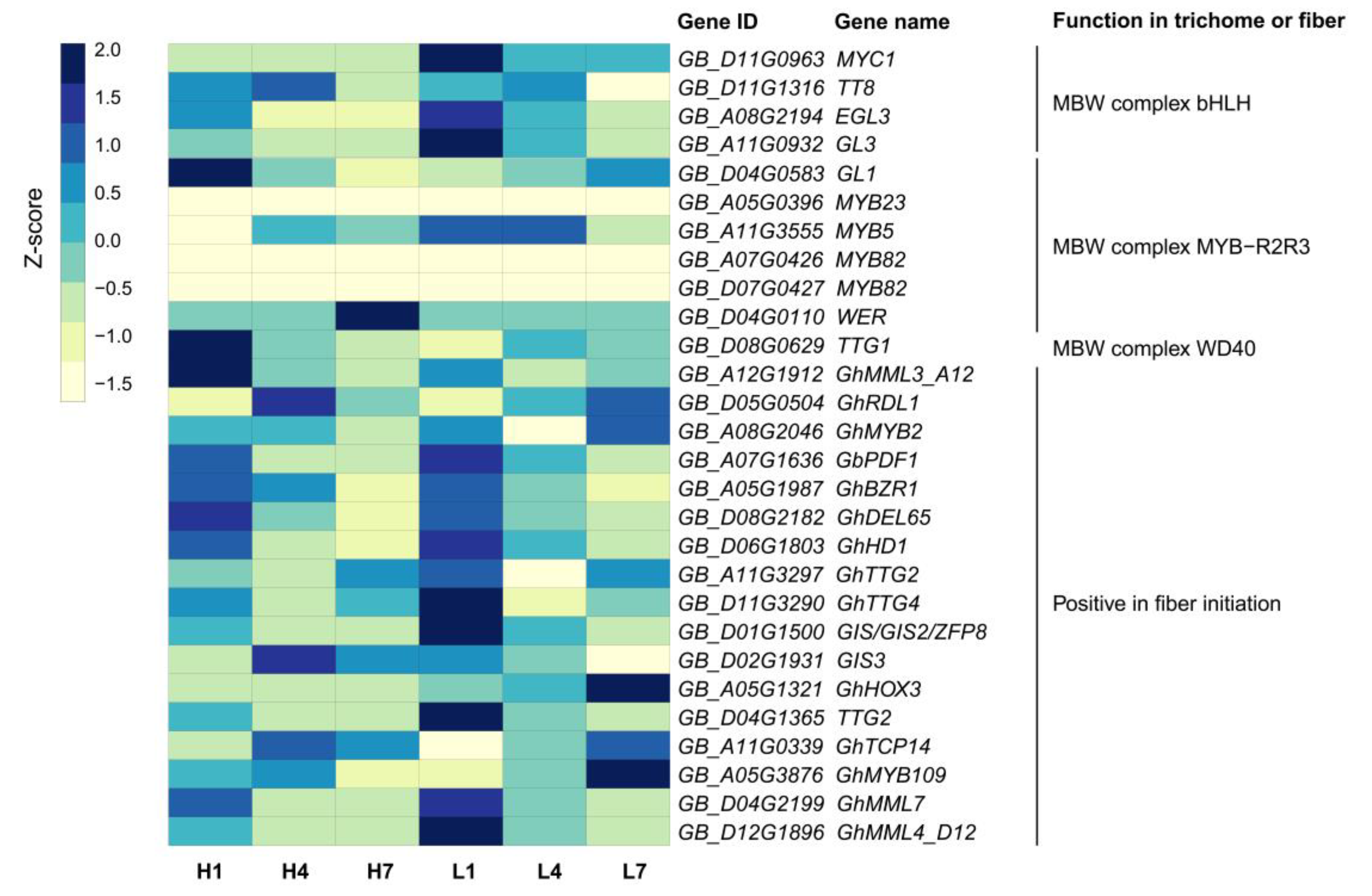 Genes 11 01066 g008