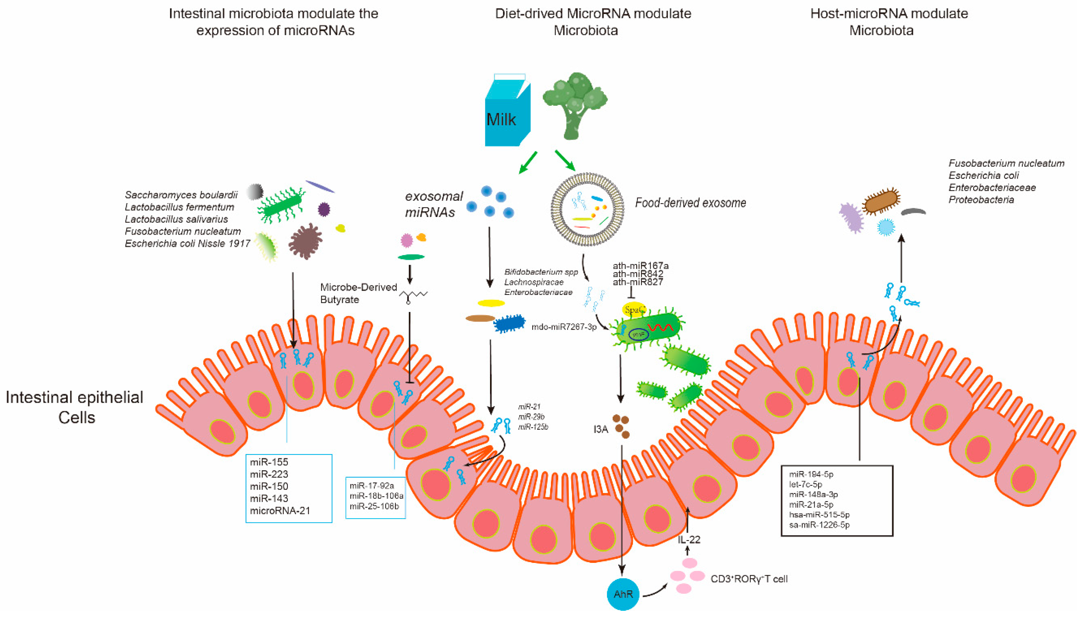 Genes 11 01075 g002 Genes 11 01075 g002