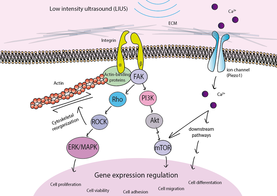 Genes 11 01086 g001