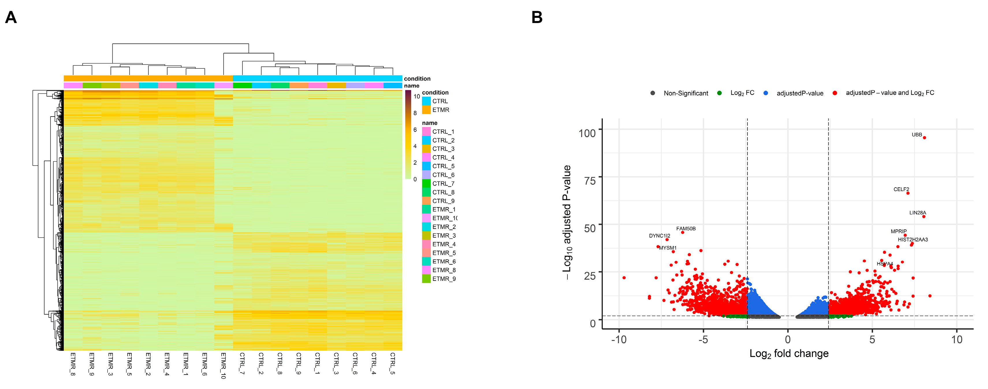 Genes 11 01108 g001