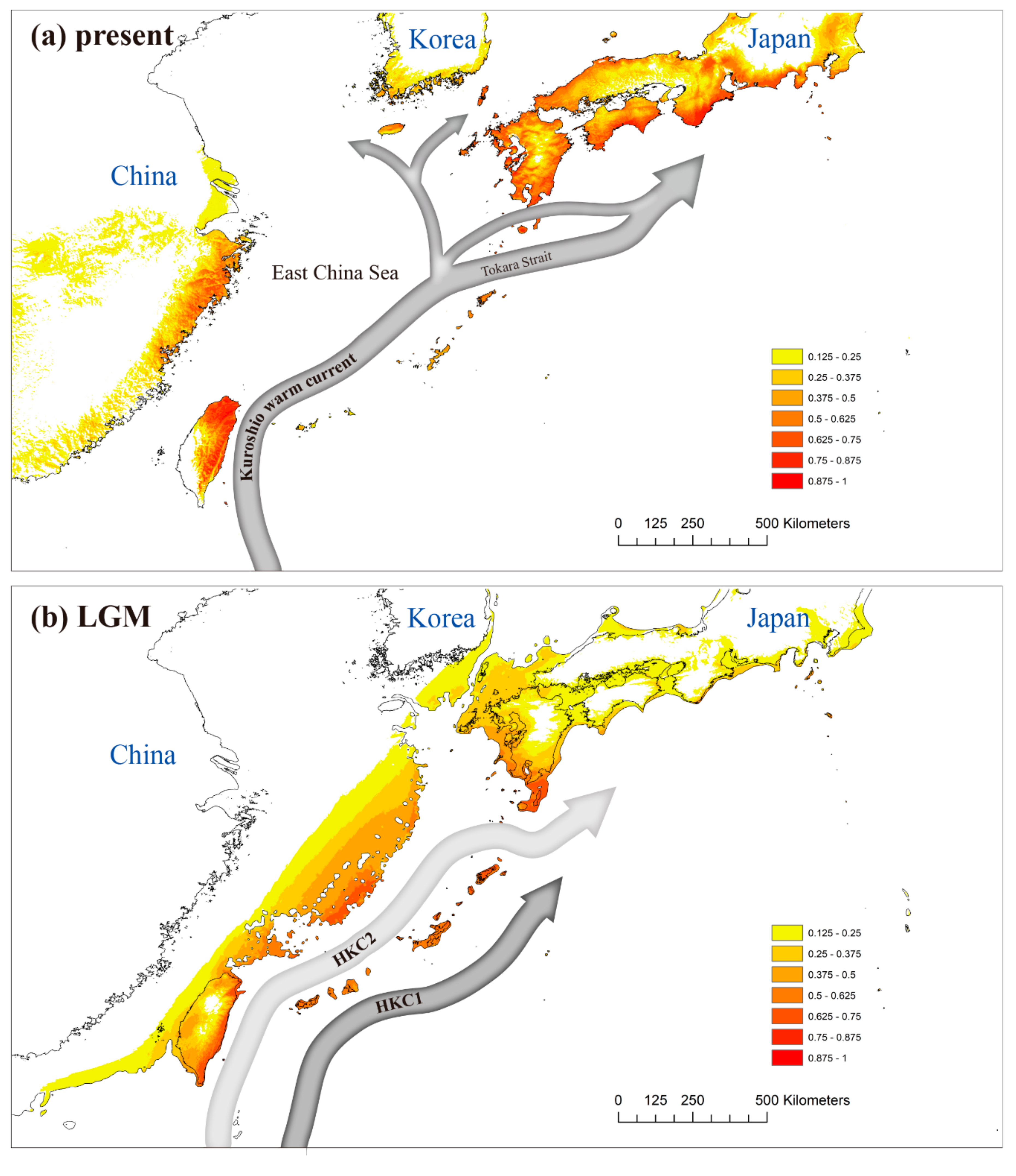 Genes 11 01114 g007 Genes 11 01114 g007