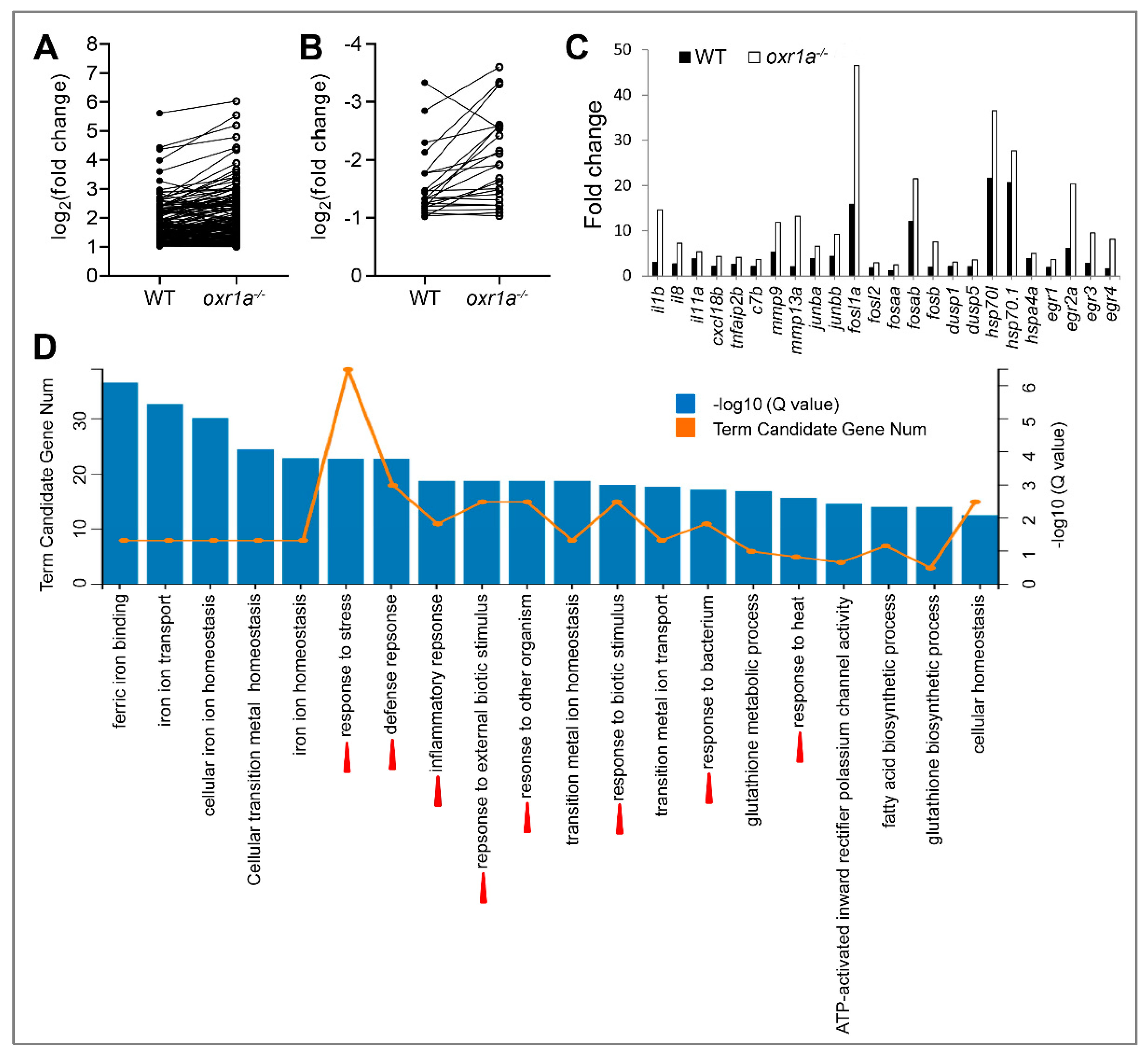 Genes 11 01118 g009