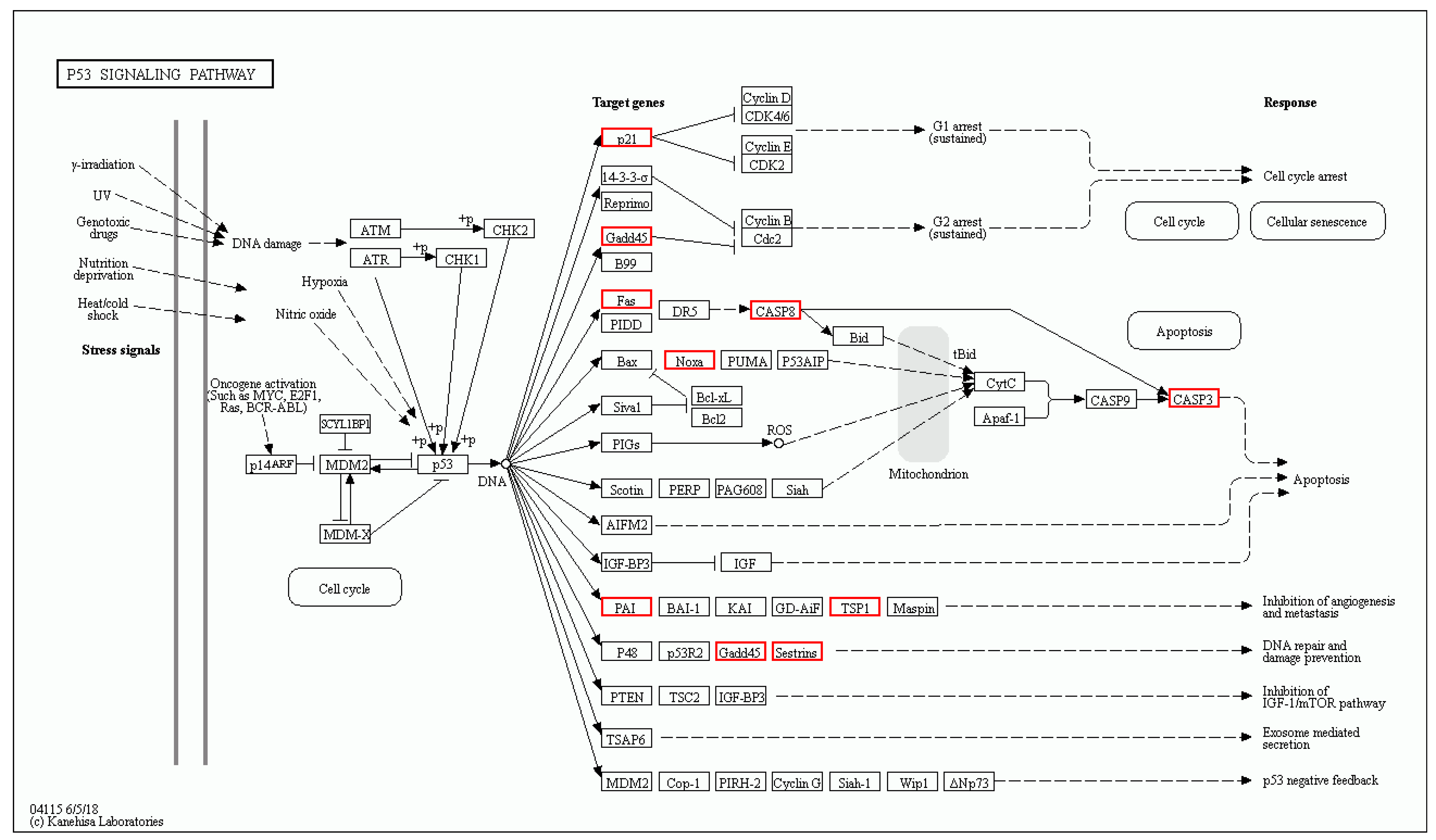 Genes 11 01118 g010