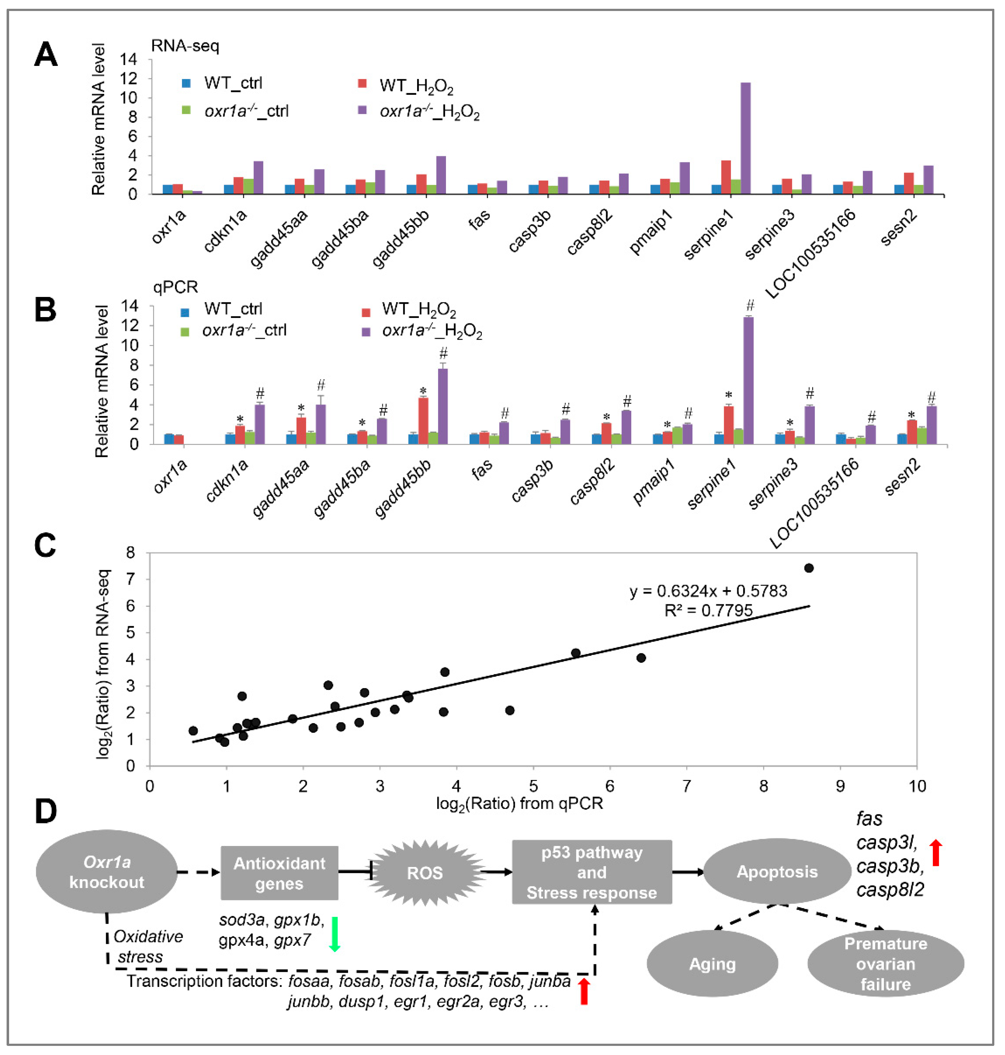 Genes 11 01118 g012