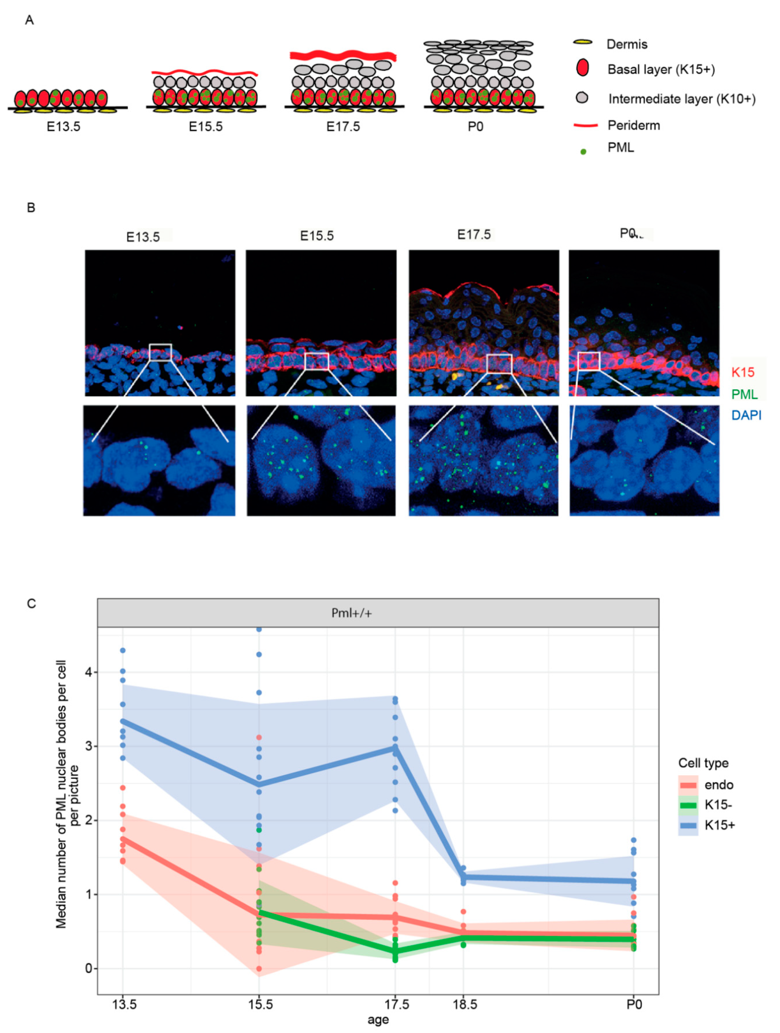 Genes 11 01130 g003