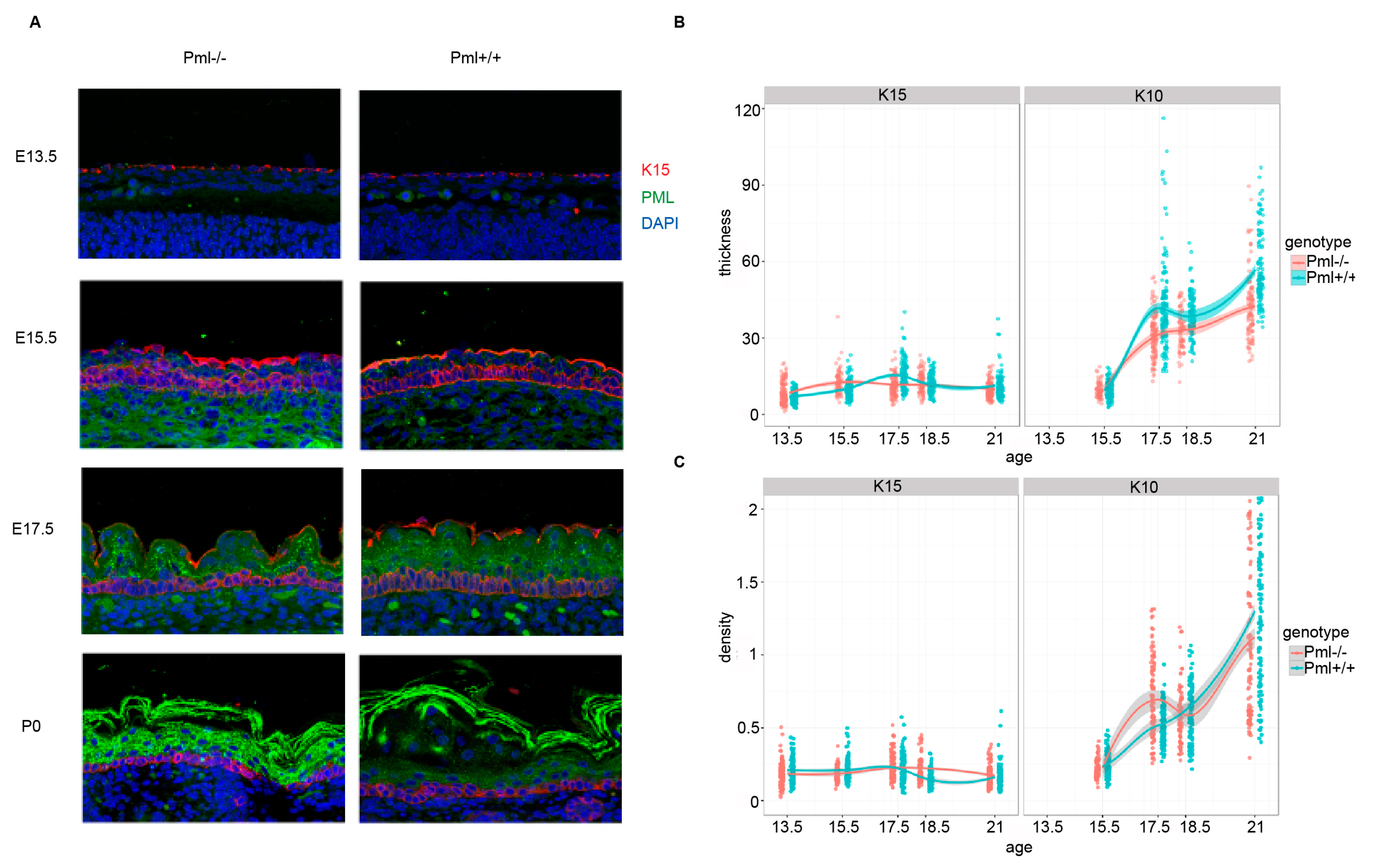Genes 11 01130 g004