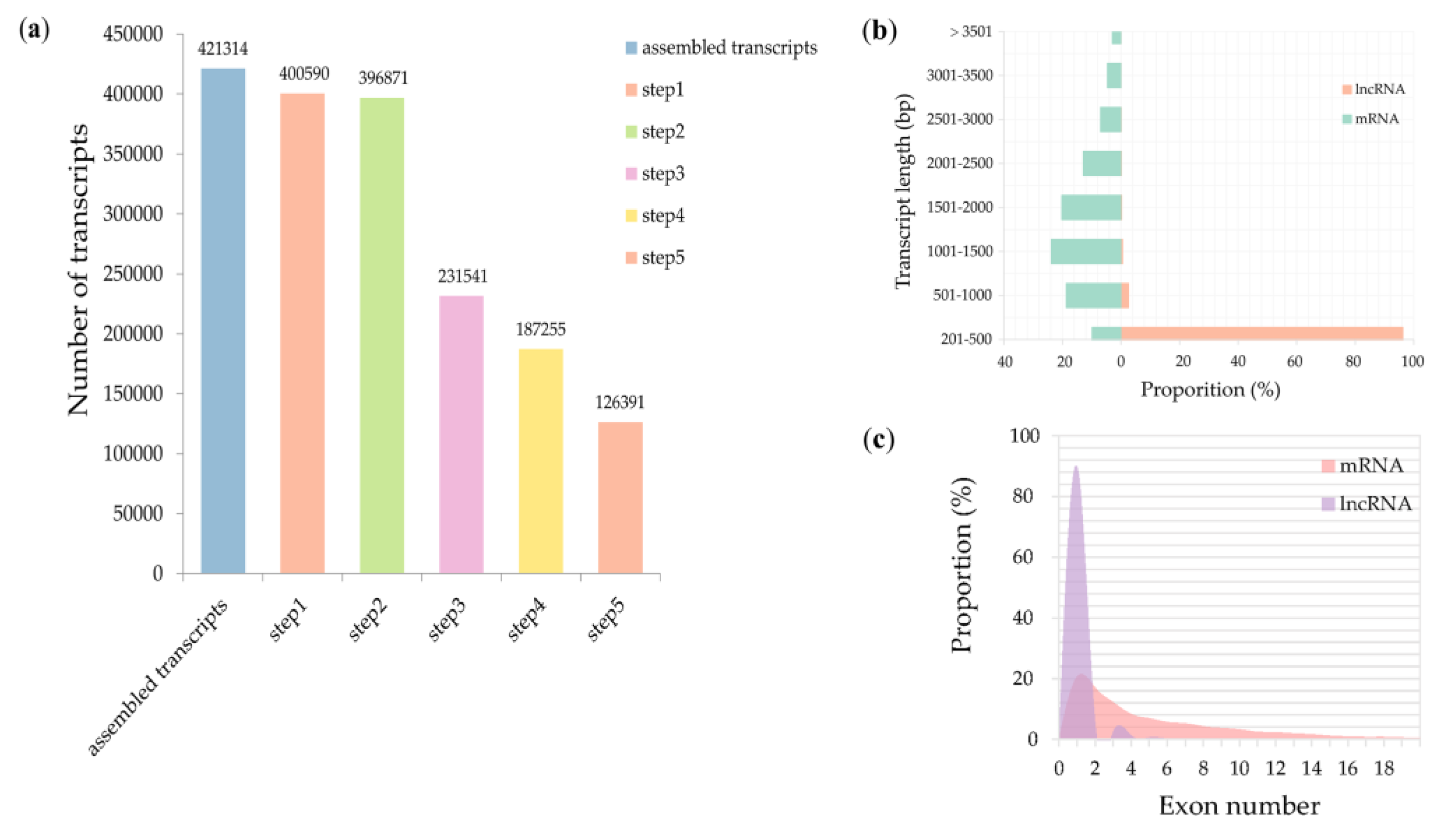 Genes 11 01135 g001