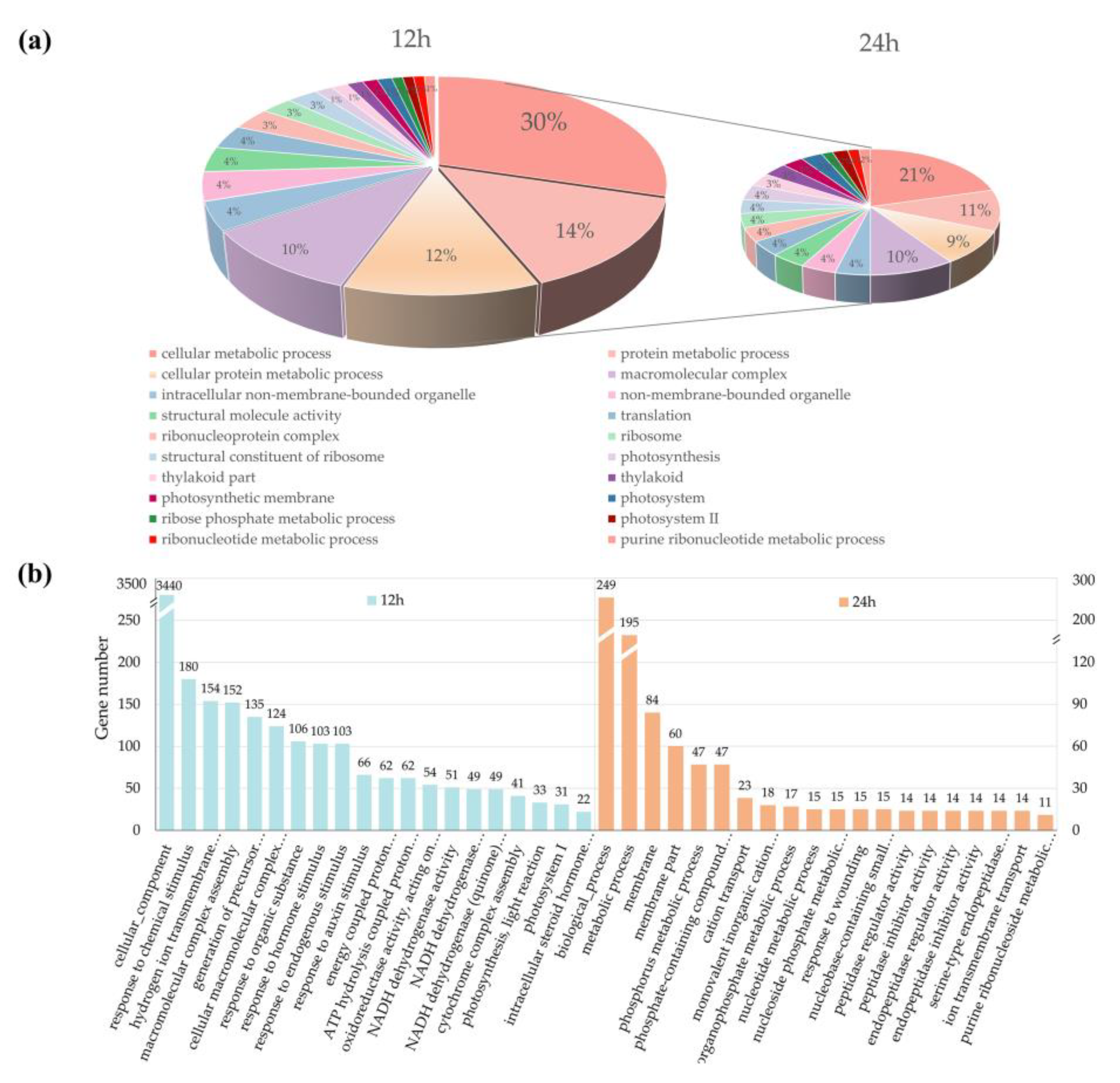 Genes 11 01135 g004