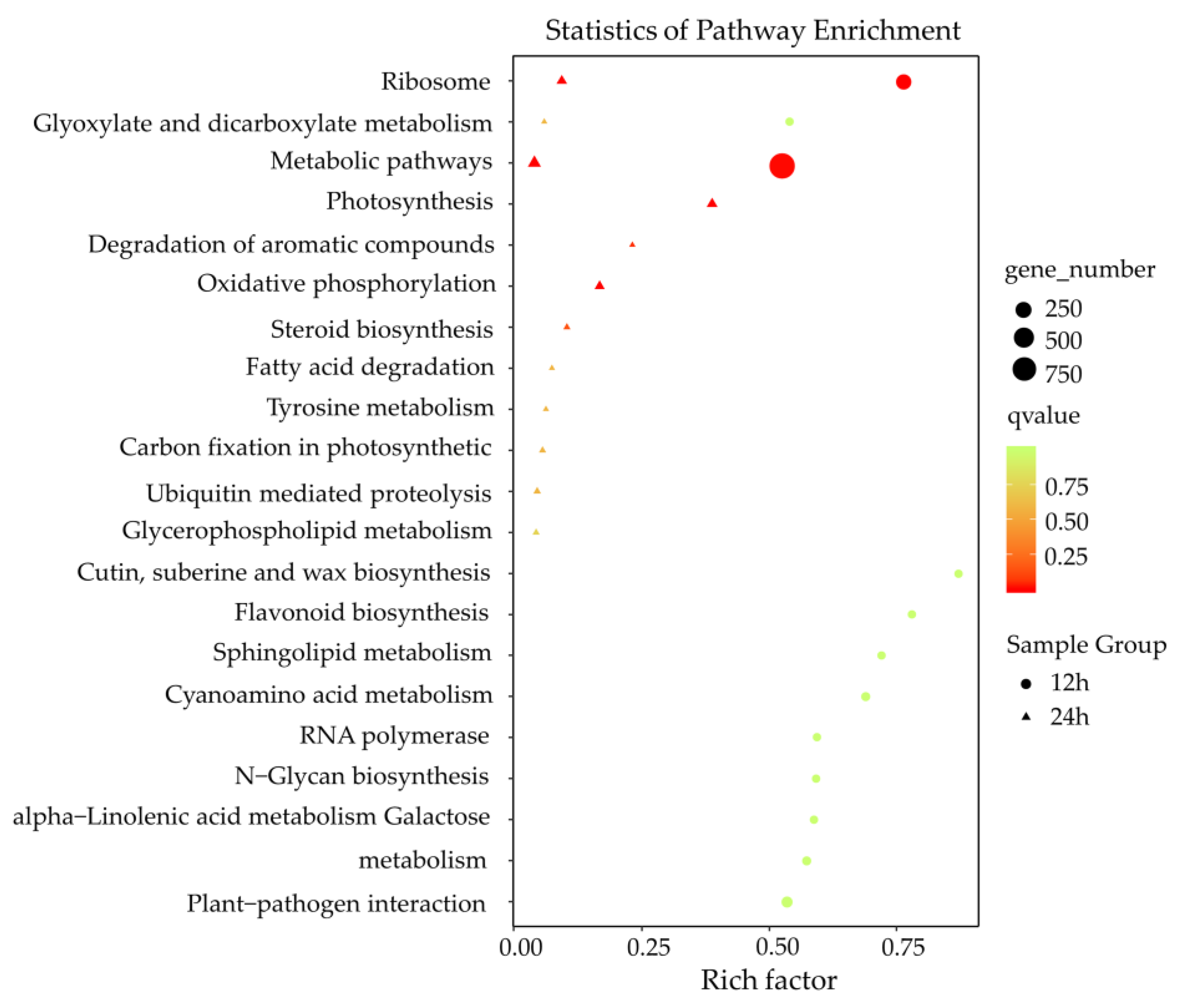 Genes 11 01135 g005