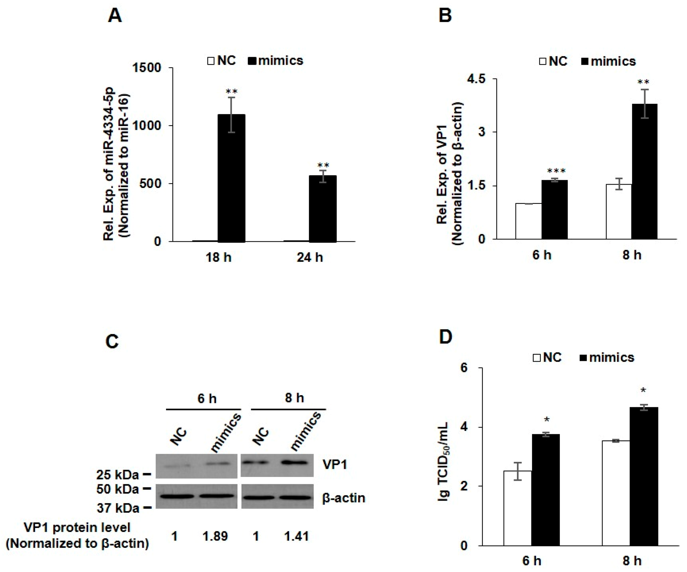 Genes 11 01136 g002