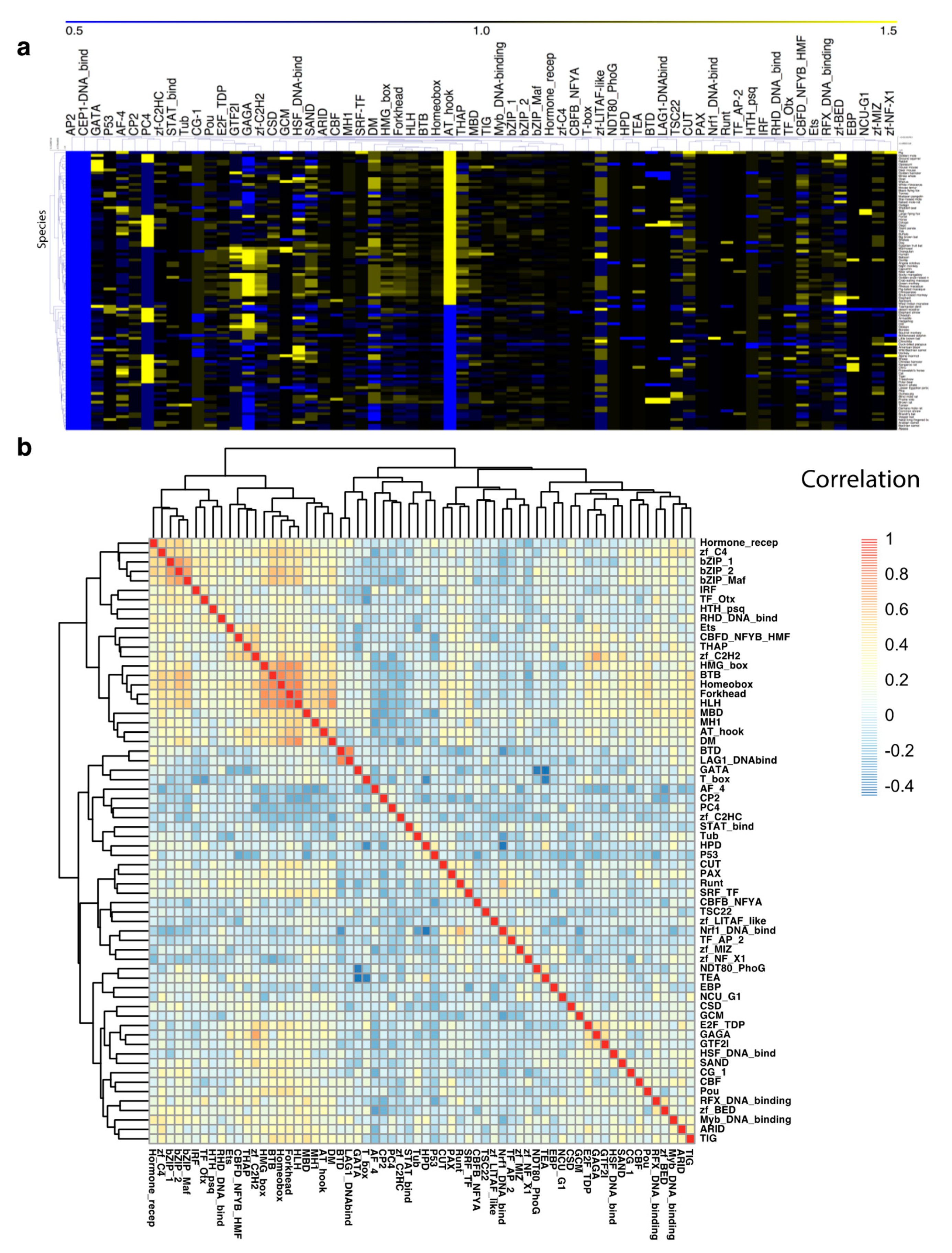Genes 11 01148 g001