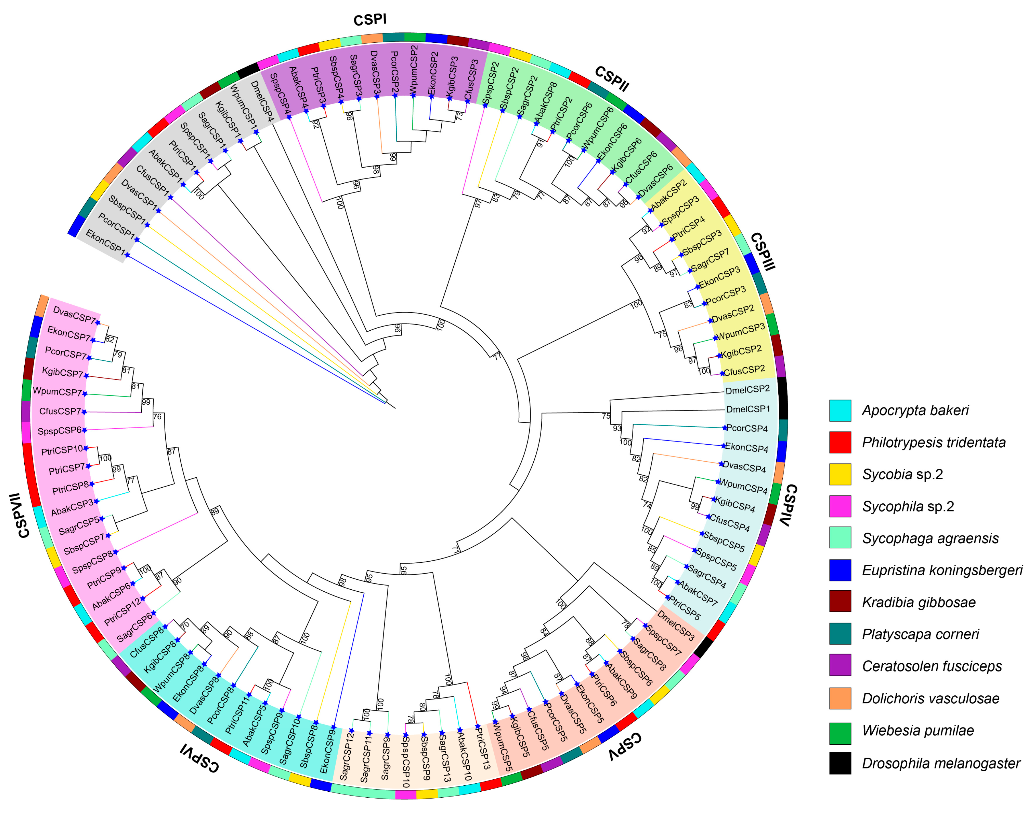 Genes 11 01149 g001 Genes 11 01149 g001
