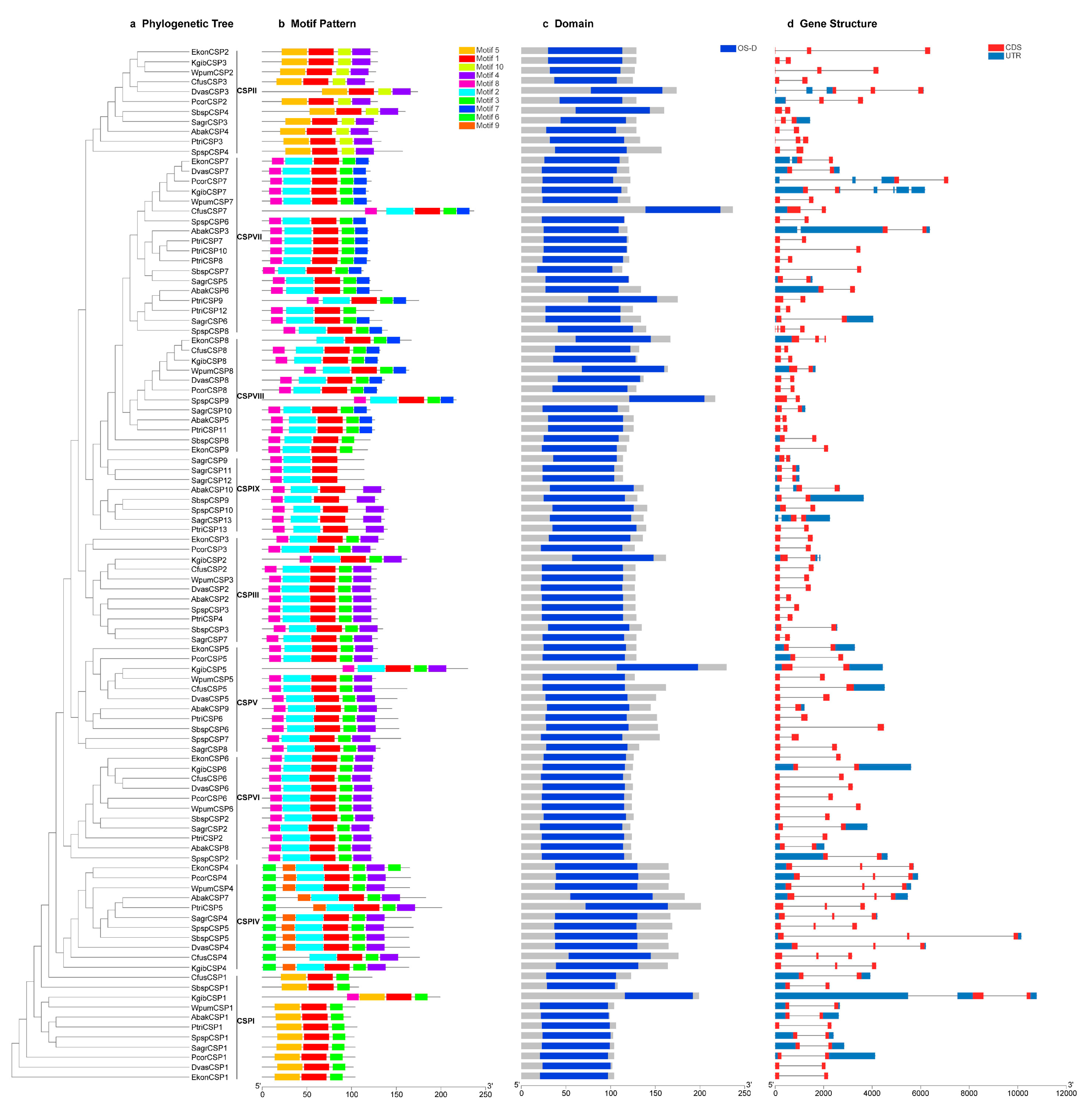 Genes 11 01149 g003 Genes 11 01149 g003