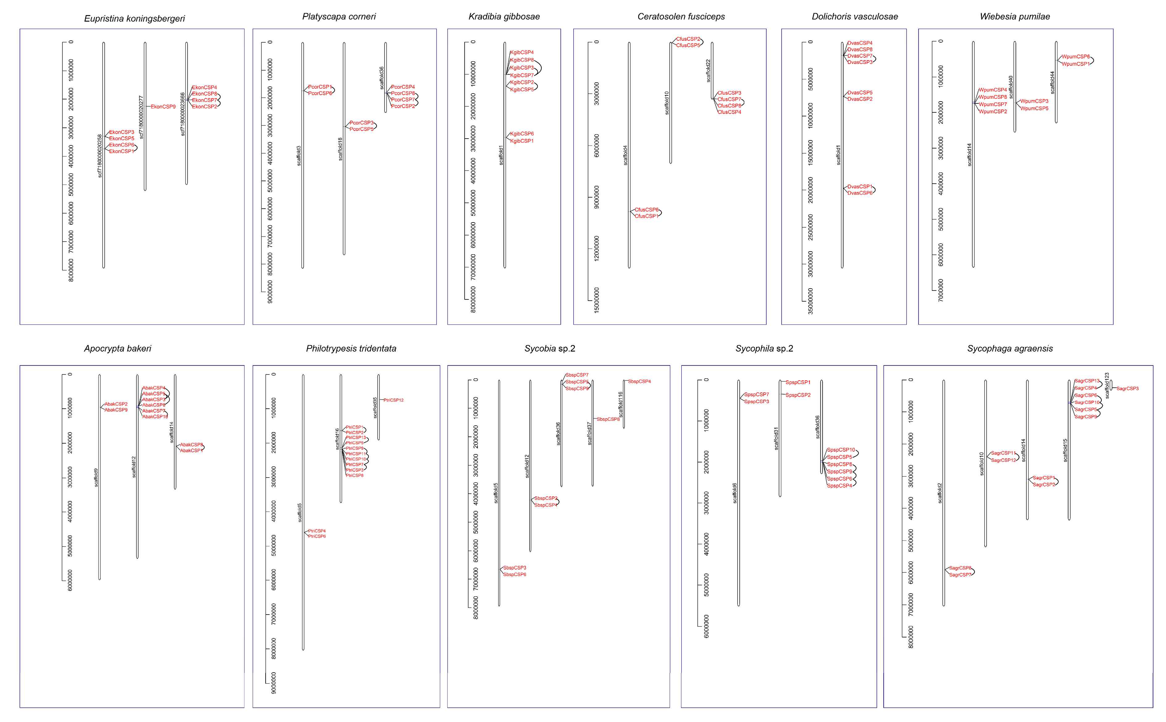 Genes 11 01149 g004 Genes 11 01149 g004