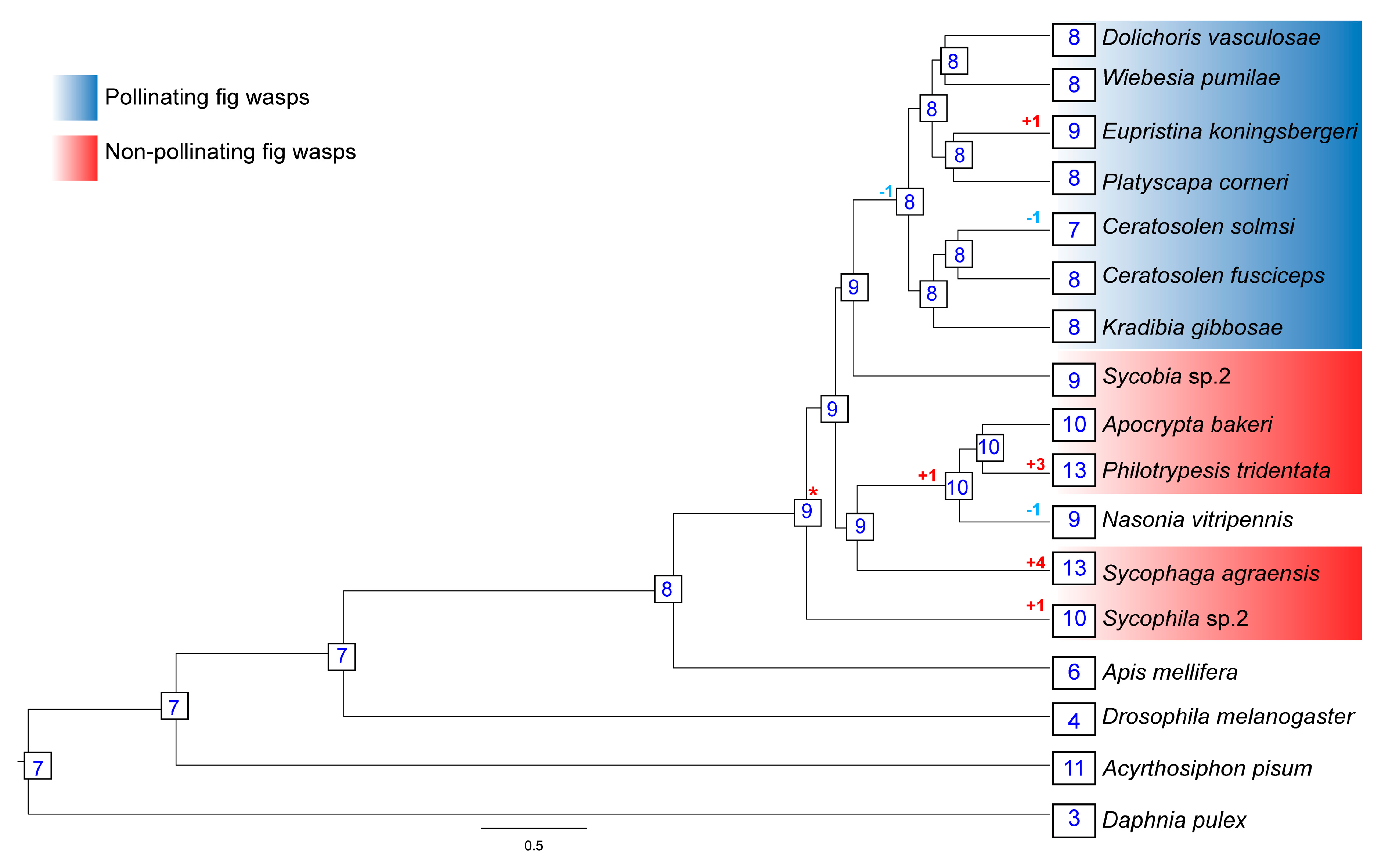 Genes 11 01149 g005 Genes 11 01149 g005