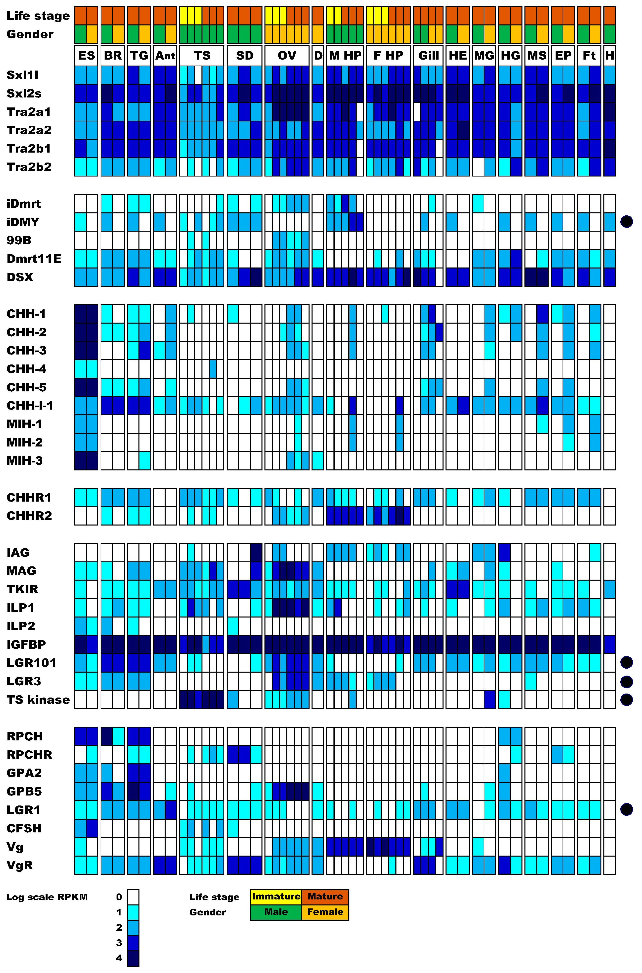 Genes 11 01150 g001 Genes 11 01150 g001
