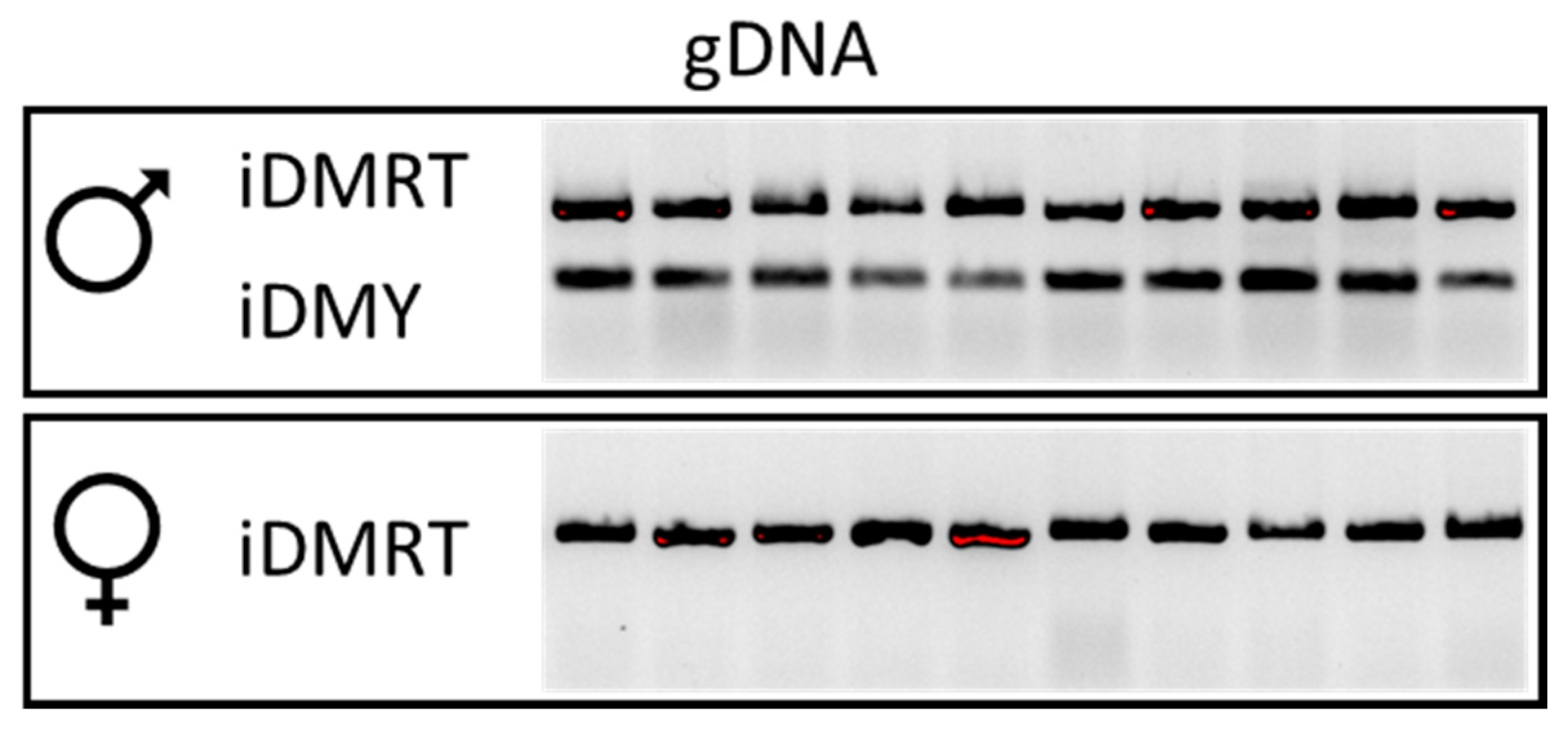 Genes 11 01150 g002 Genes 11 01150 g002