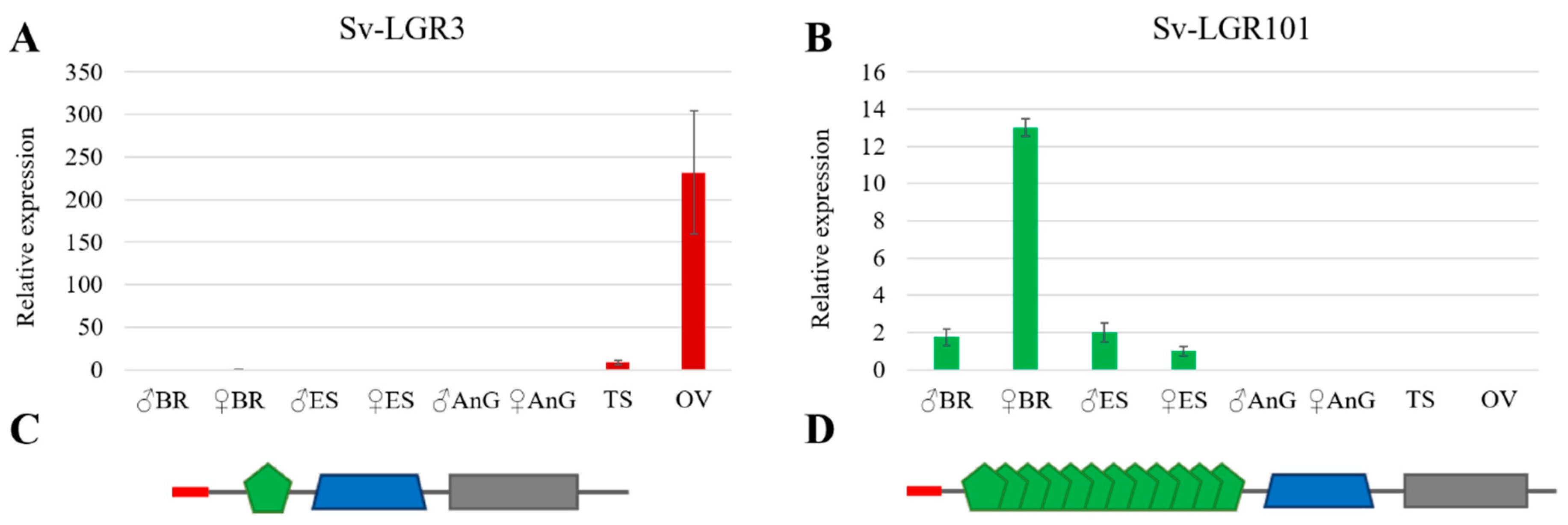 Genes 11 01150 g003 Genes 11 01150 g003