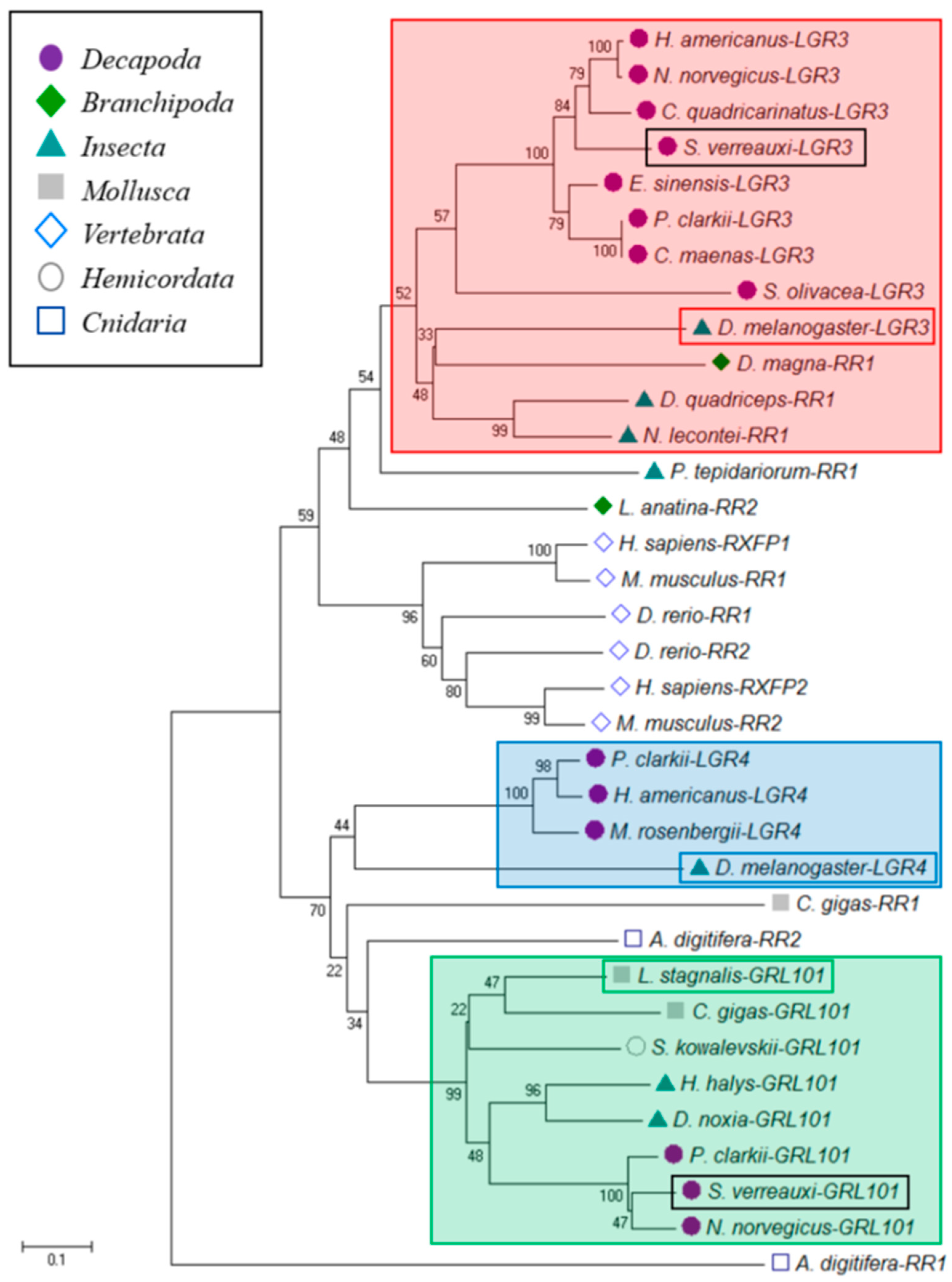 Genes 11 01150 g004 Genes 11 01150 g004
