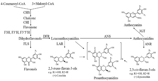 Genes 11 01156 g001