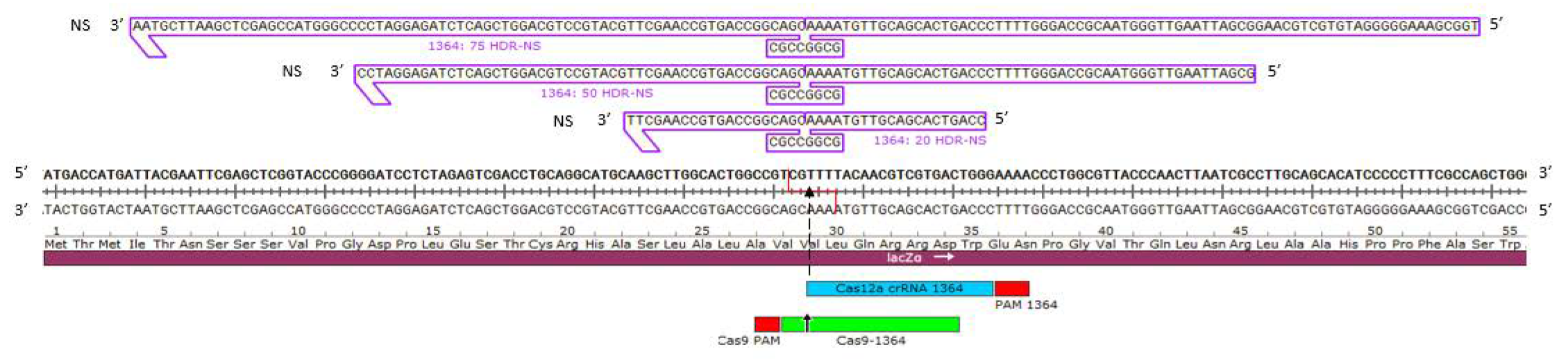 Genes 11 01160 g001 Genes 11 01160 g001