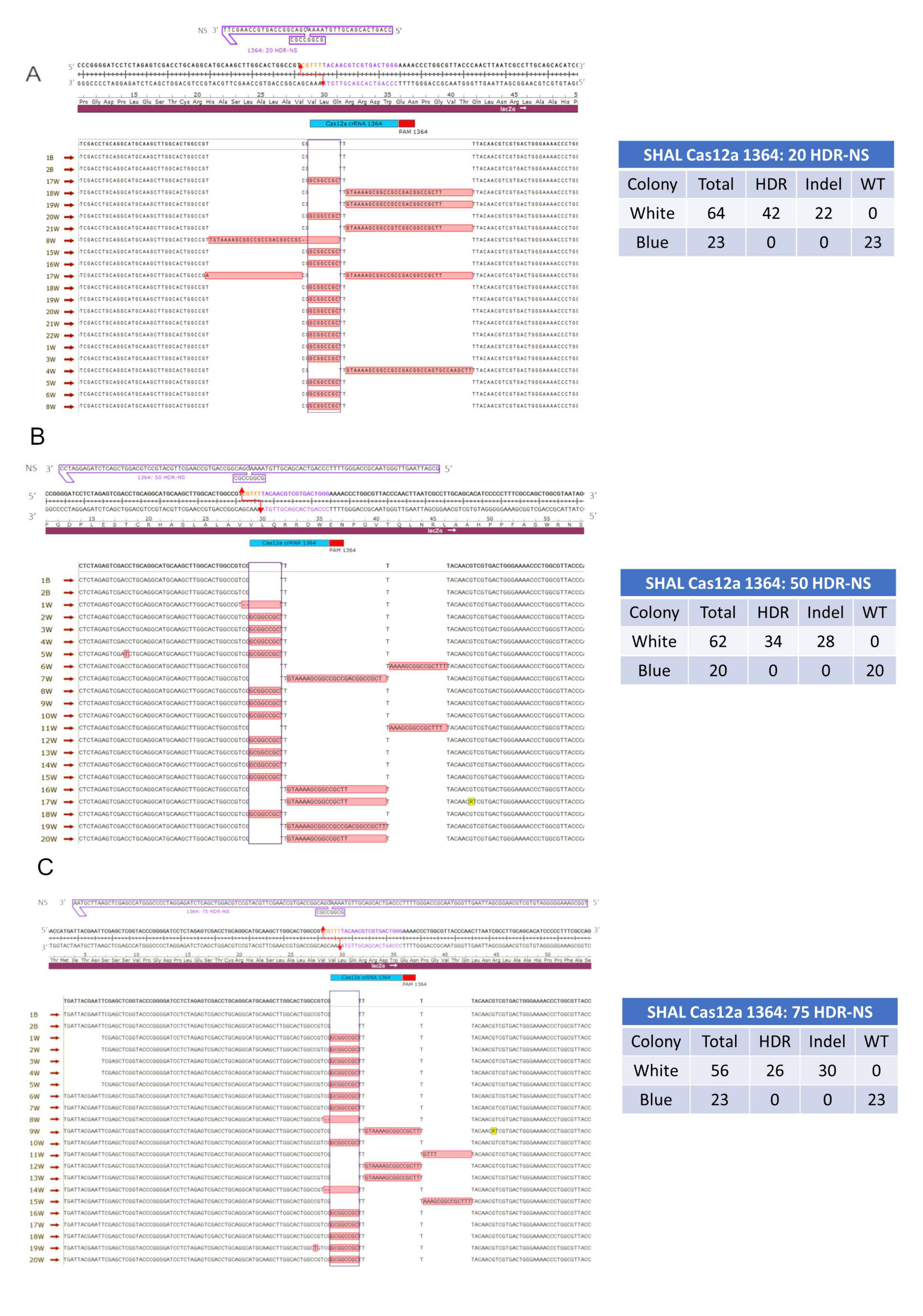 Genes 11 01160 g003 Genes 11 01160 g003