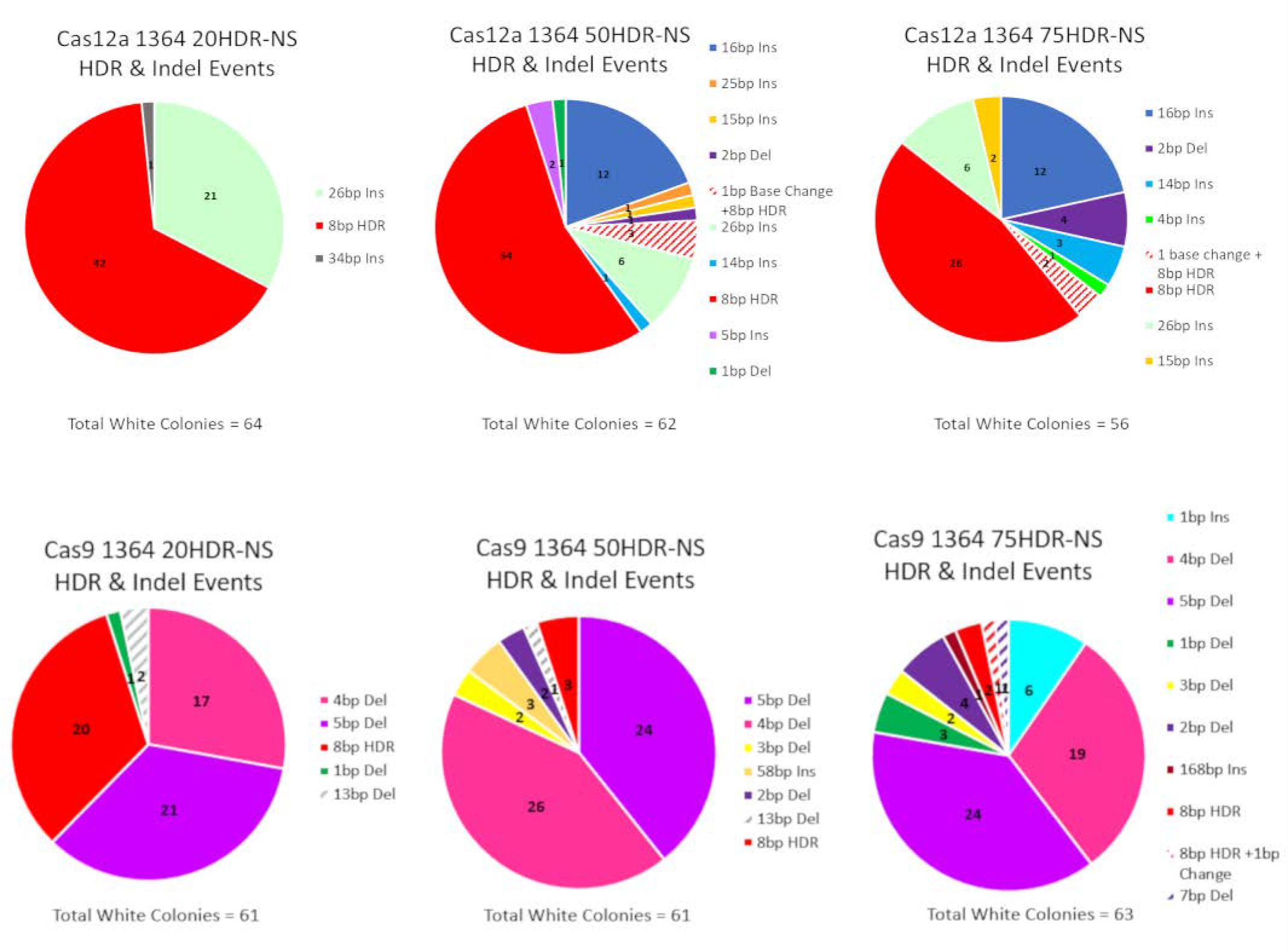 Genes 11 01160 g005 Genes 11 01160 g005