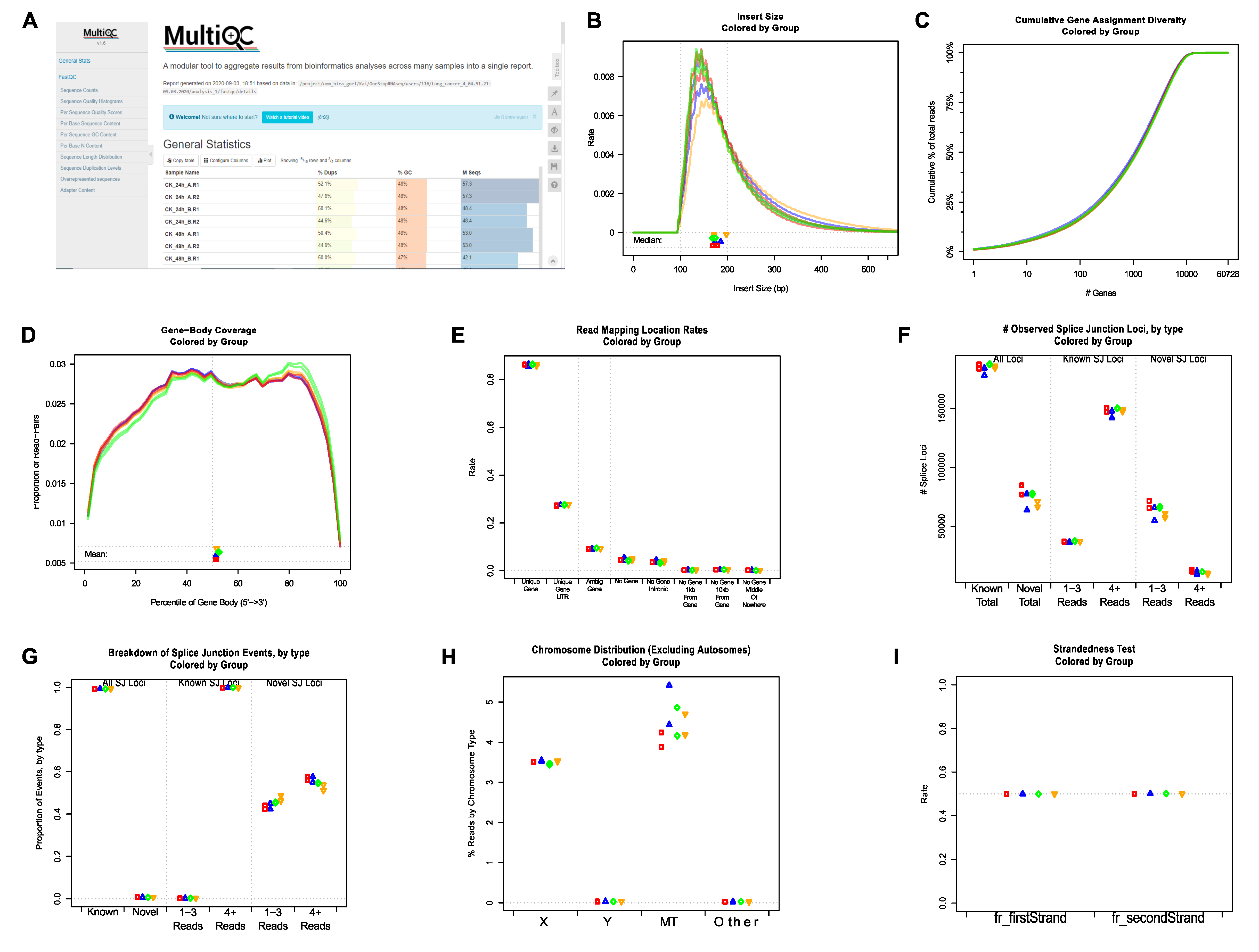 Genes 11 01165 g002