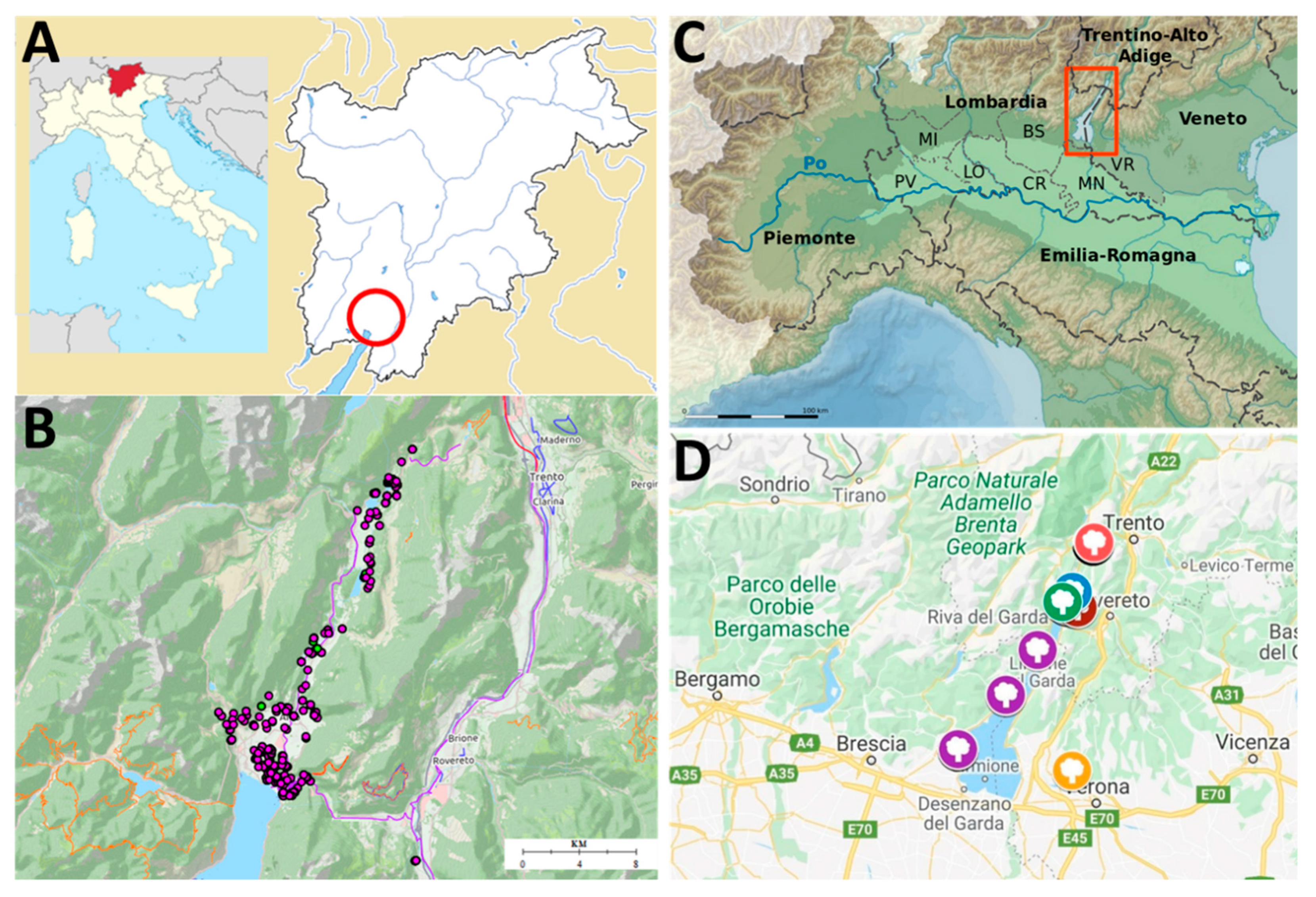 Genes 11 01171 g001 Genes 11 01171 g001