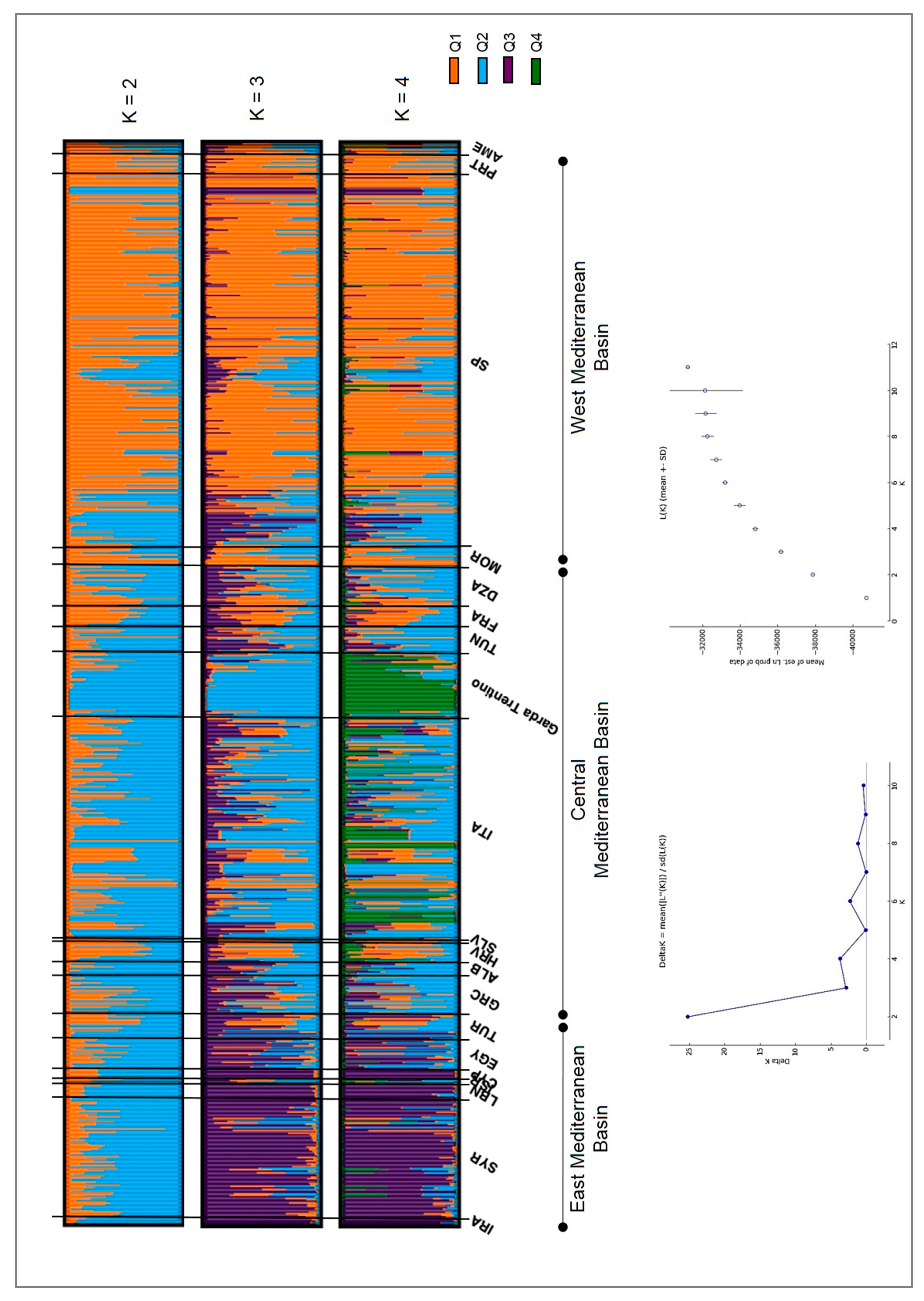 Genes 11 01171 g004 Genes 11 01171 g004