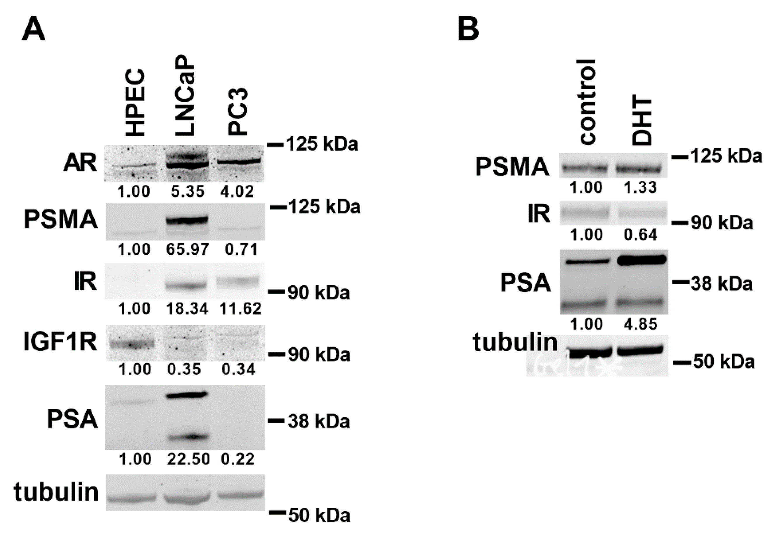 Genes 11 01174 g004