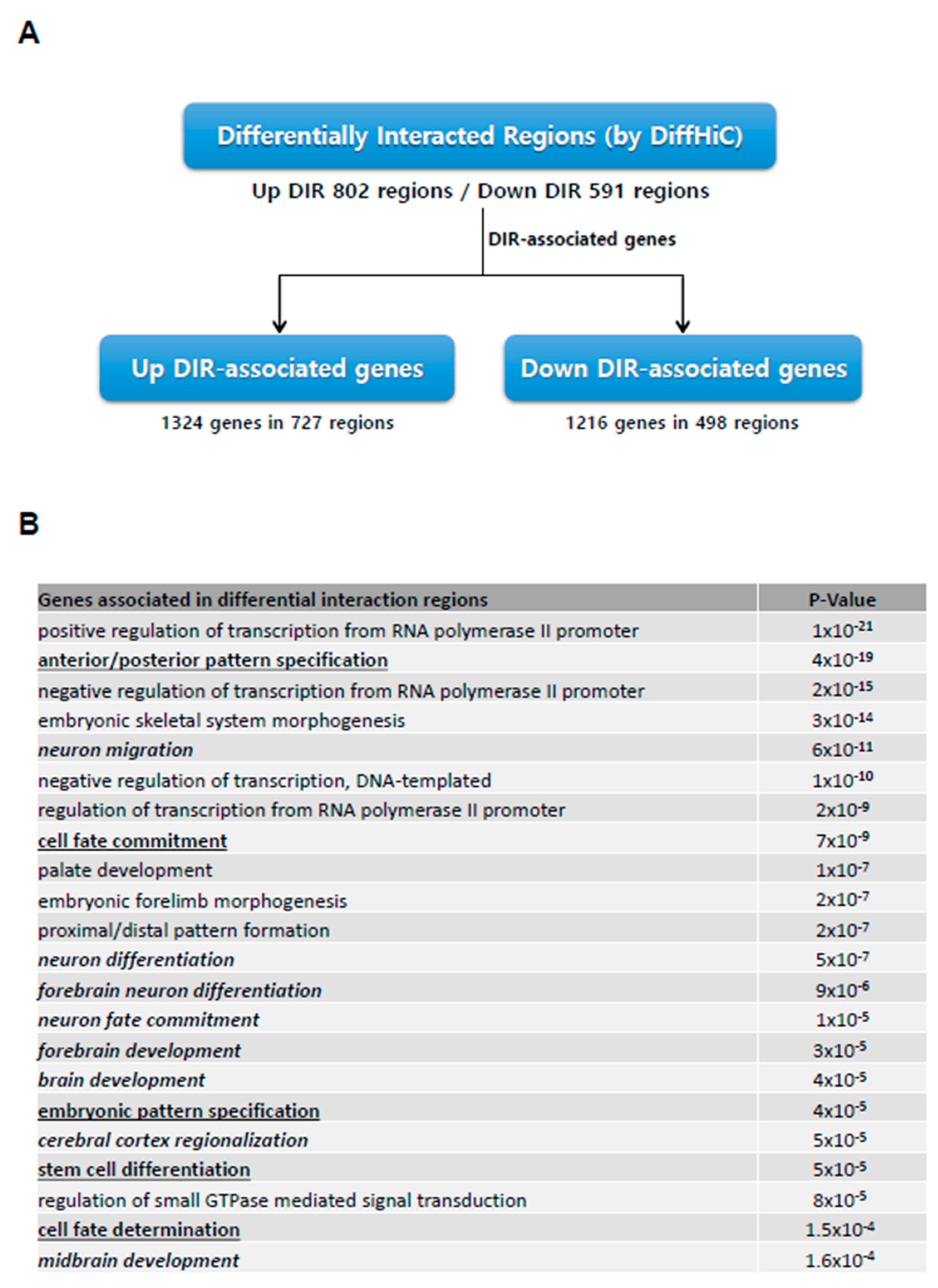 Genes 11 01176 g003