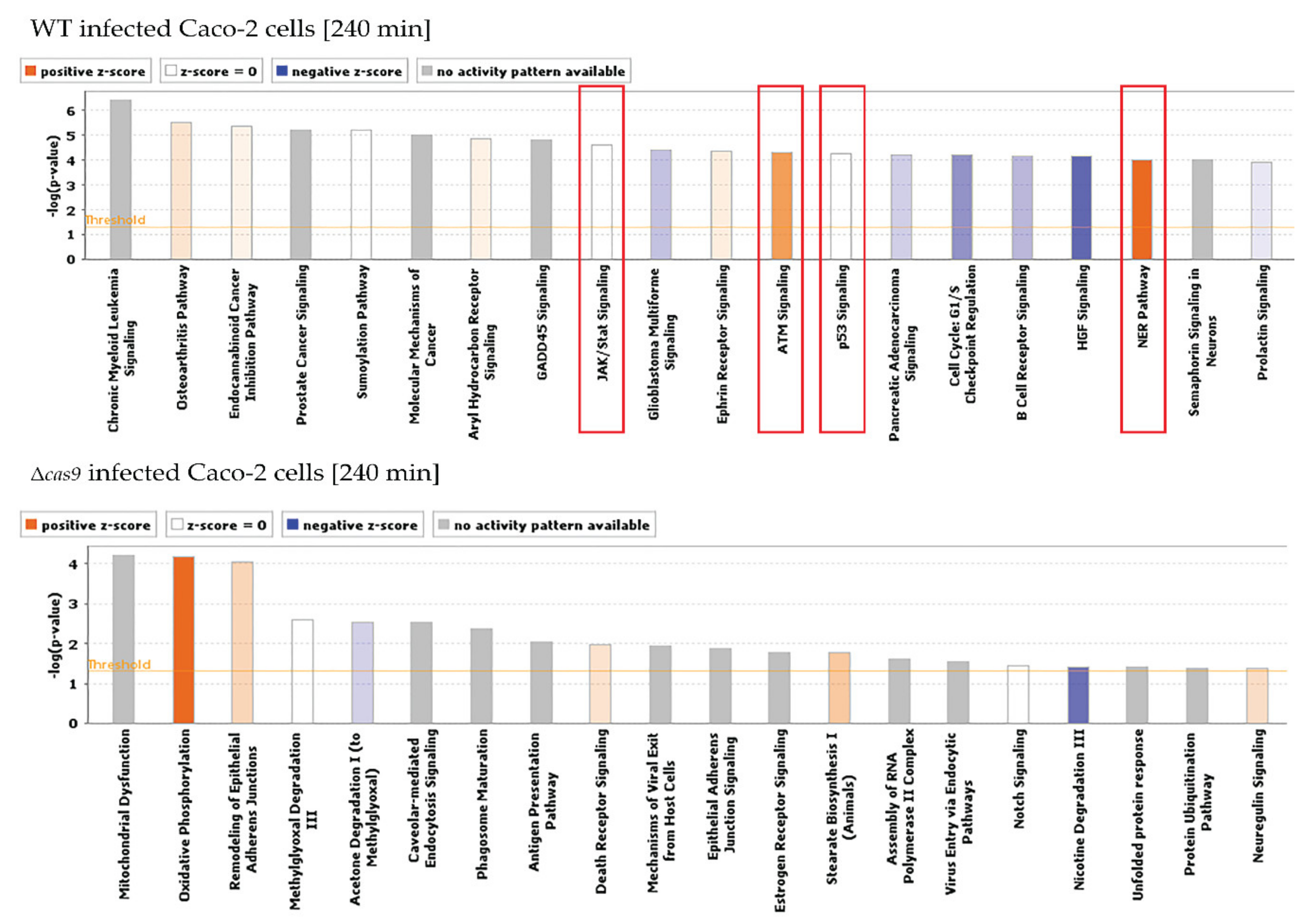 Genes 11 01193 g004 Genes 11 01193 g004