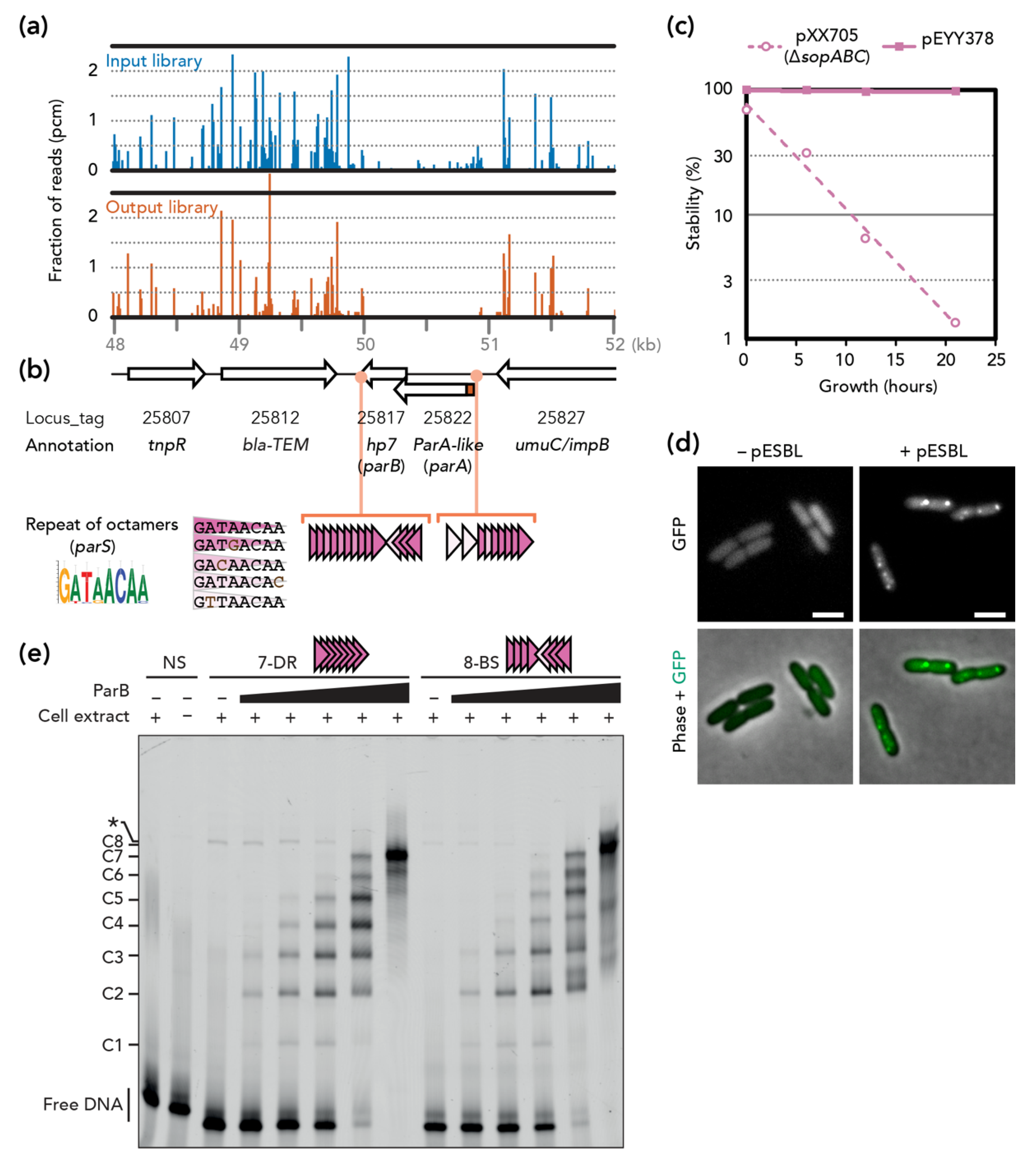 Genes 11 01207 g001 Genes 11 01207 g001