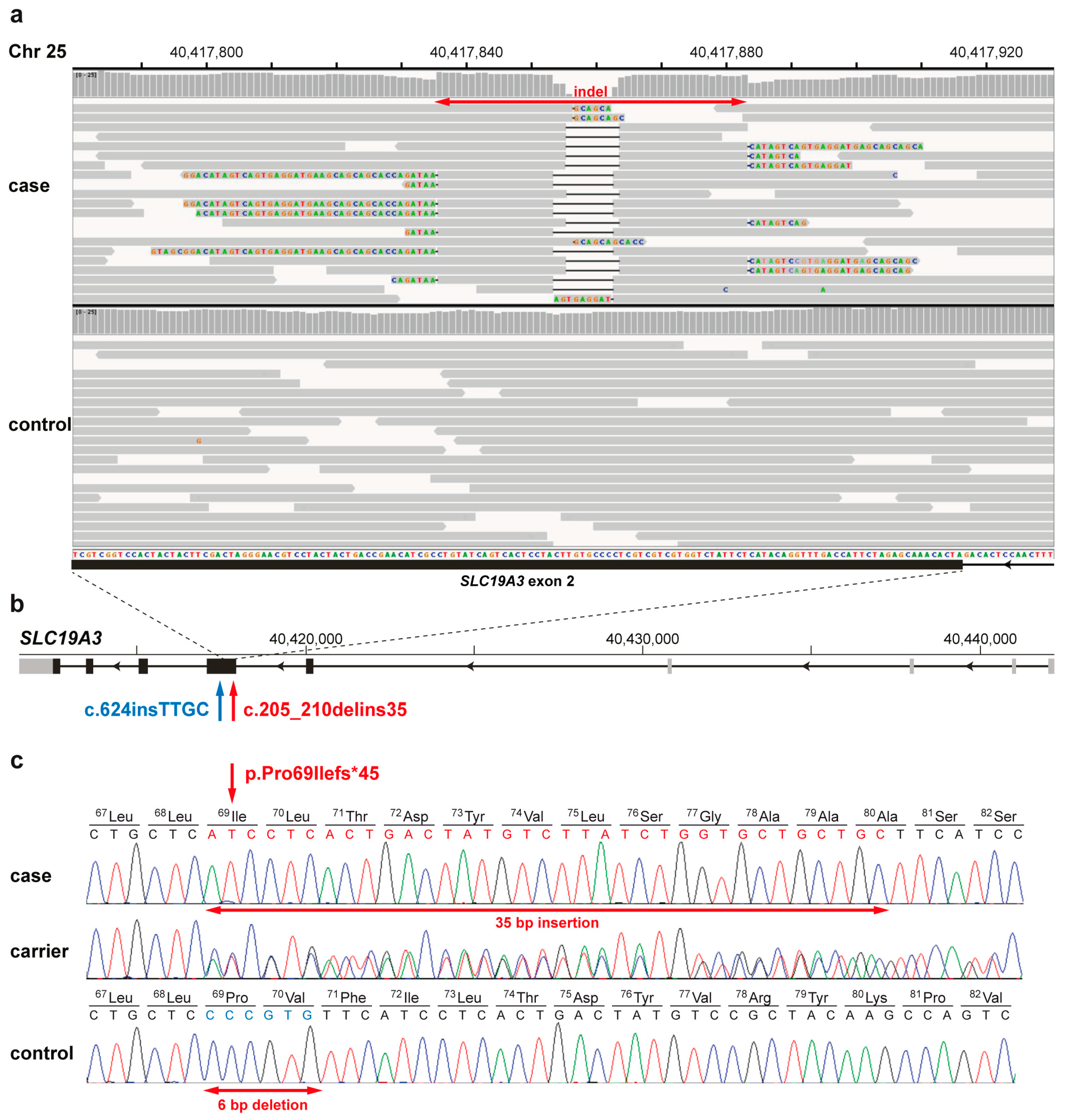 Genes 11 01215 g001 Genes 11 01215 g001