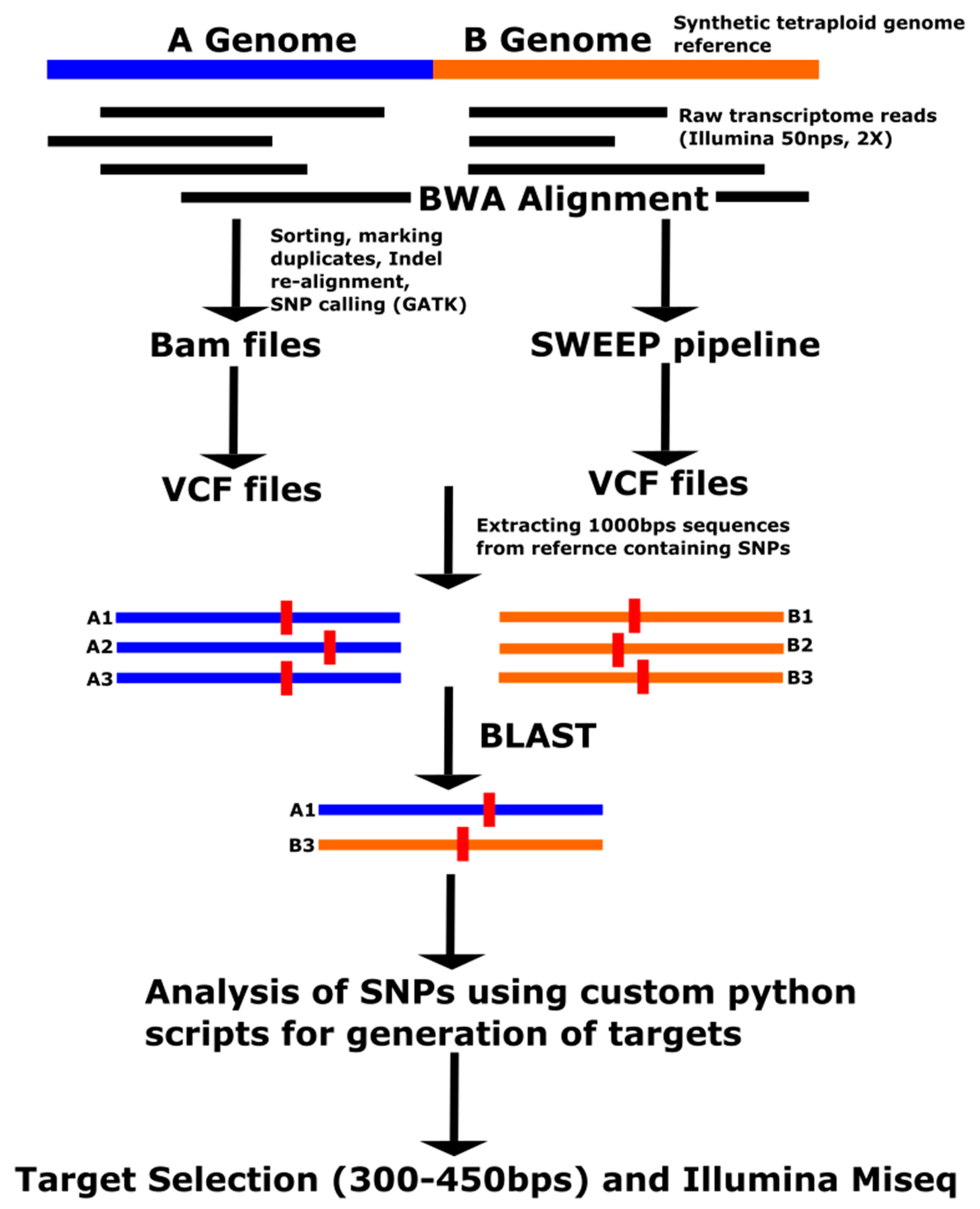 Genes 11 01220 g001 Genes 11 01220 g001