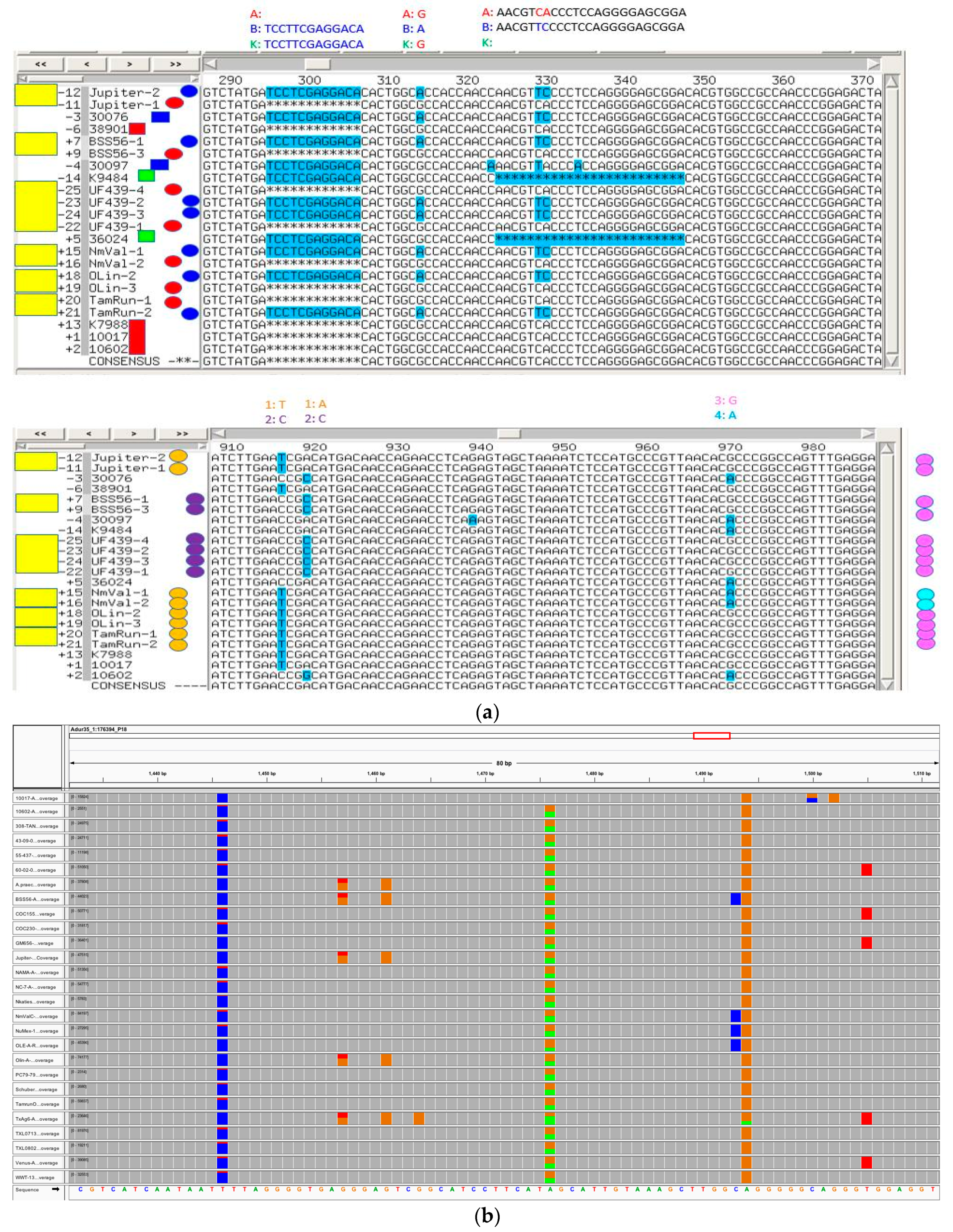 Genes 11 01220 g004 Genes 11 01220 g004