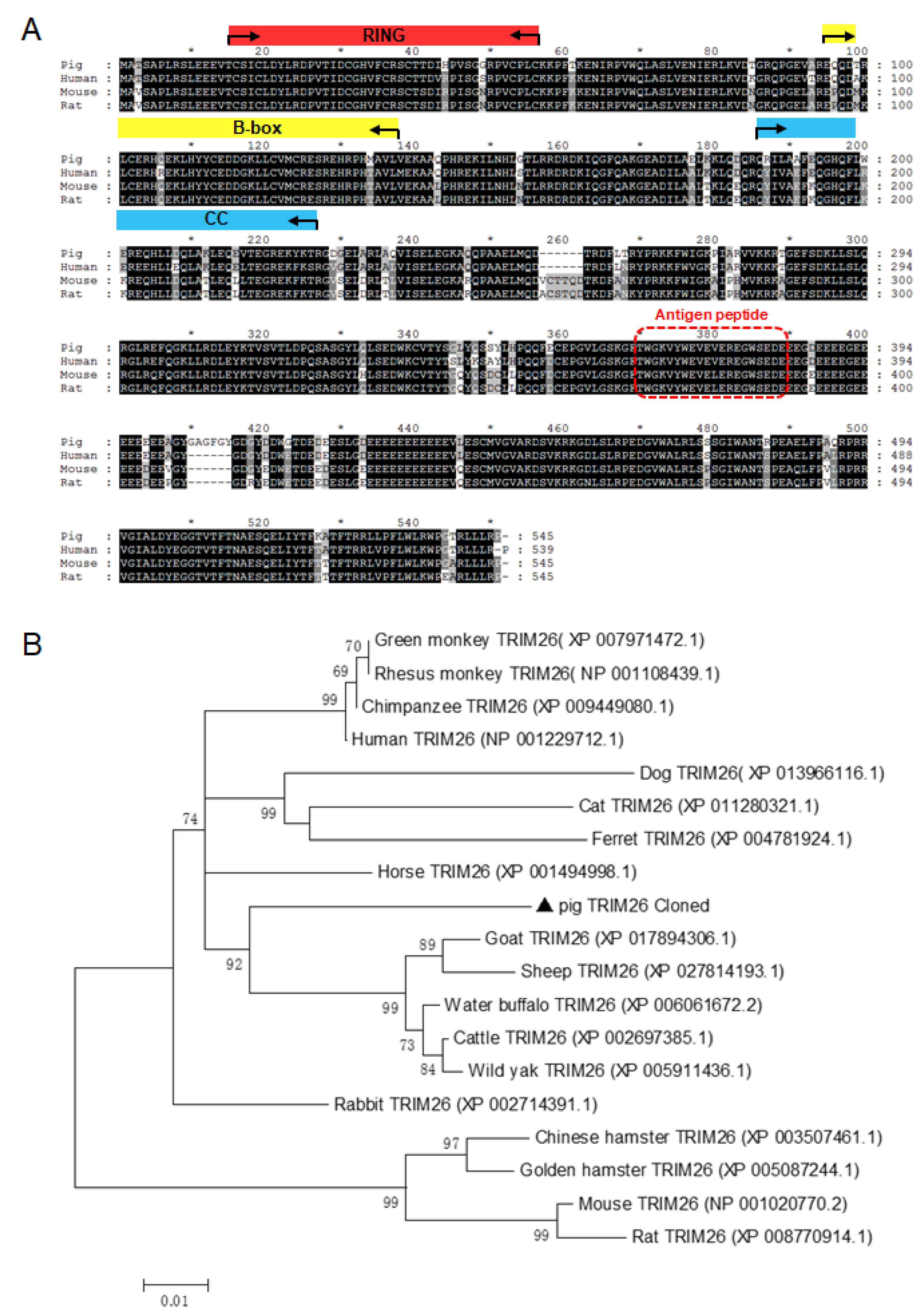 Genes 11 01226 g001