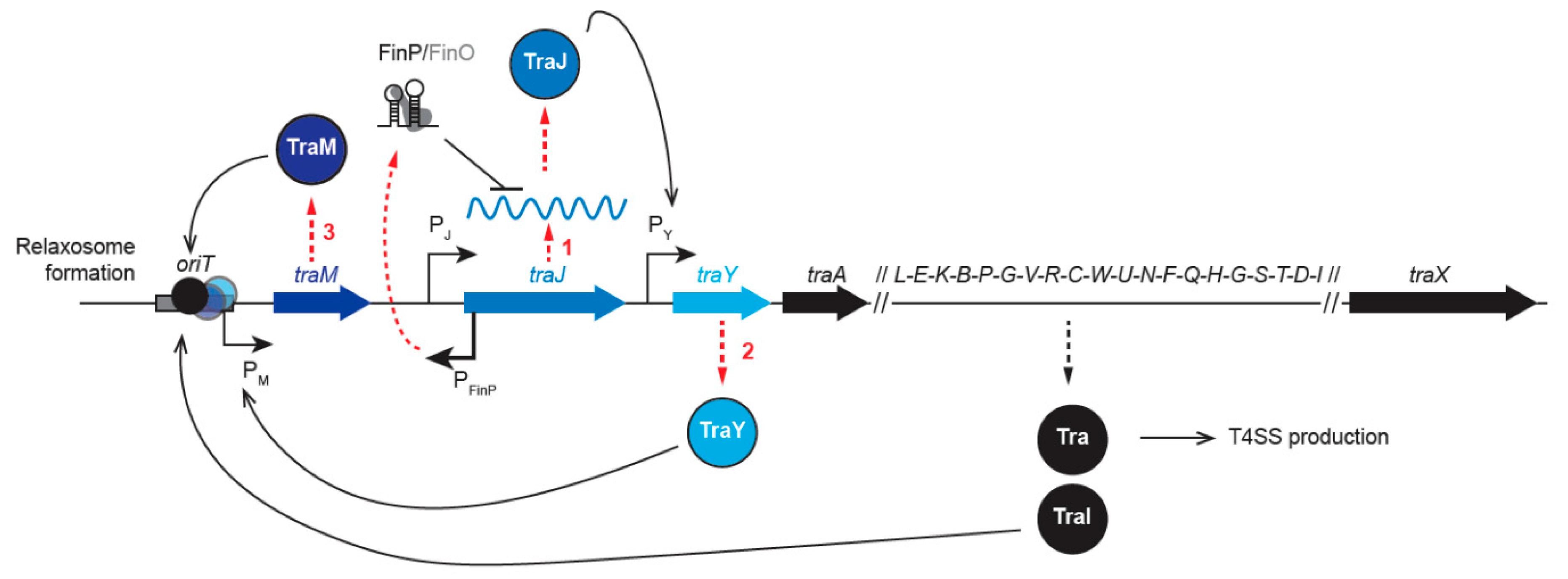 Genes 11 01239 g002 Genes 11 01239 g002