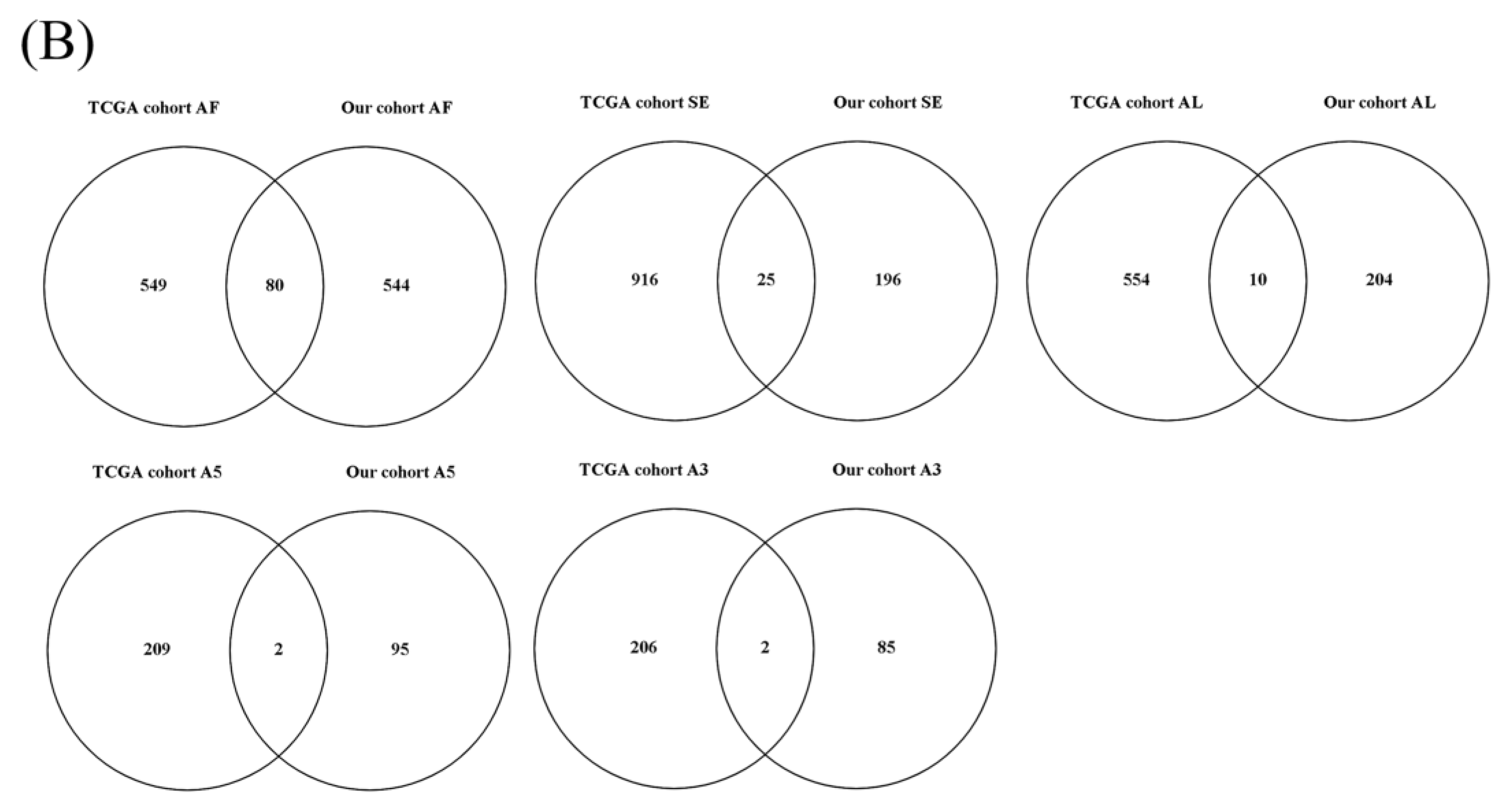 Genes 11 01300 g002b