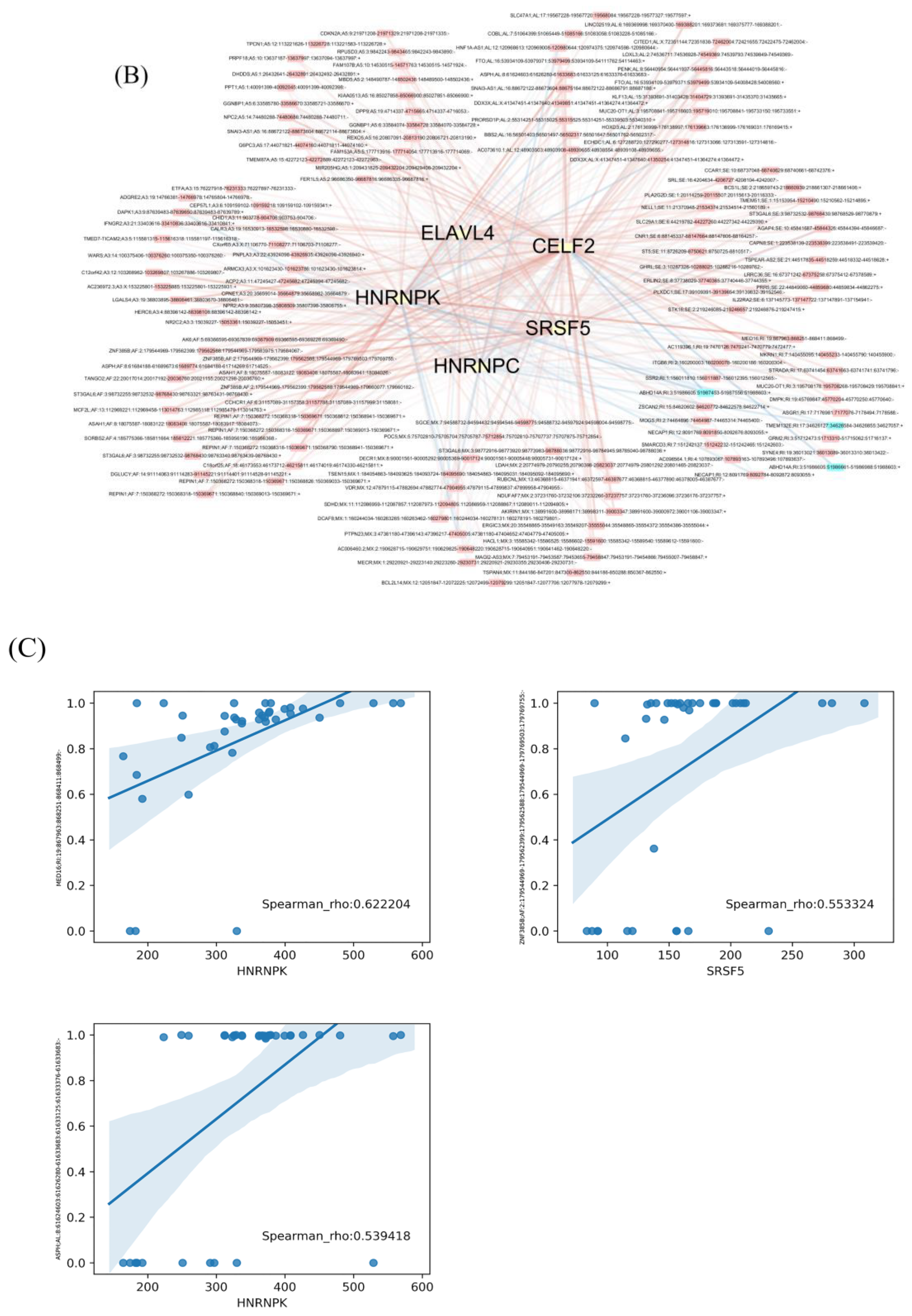 Genes 11 01300 g006b