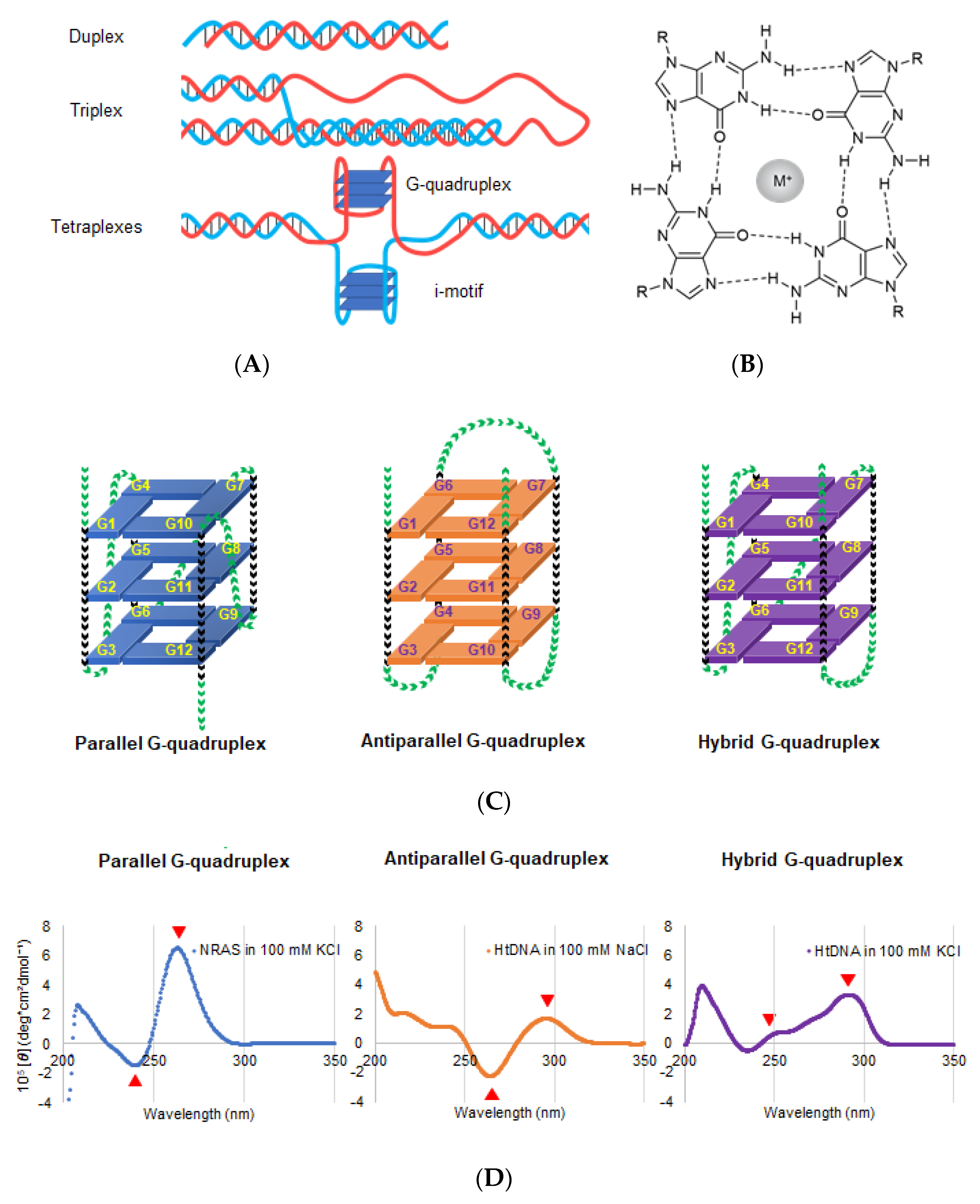 Genes 11 01340 g002