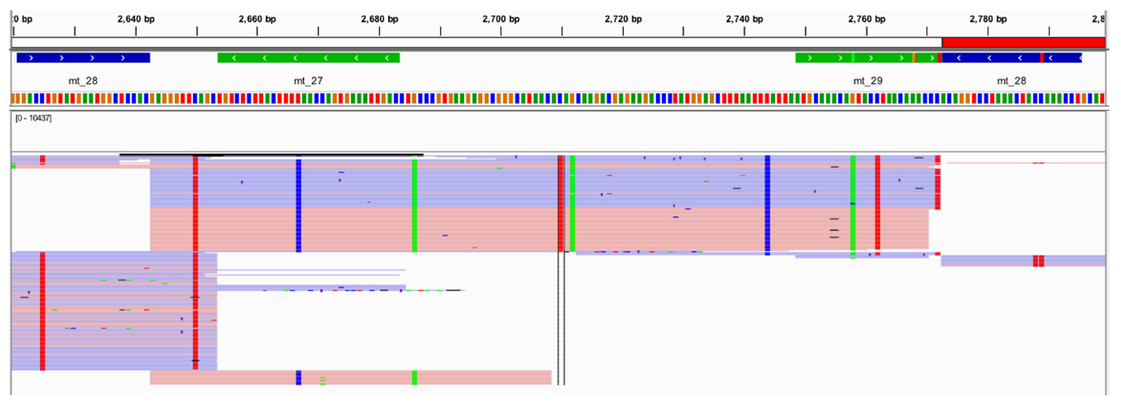 Genes 11 01345 g012