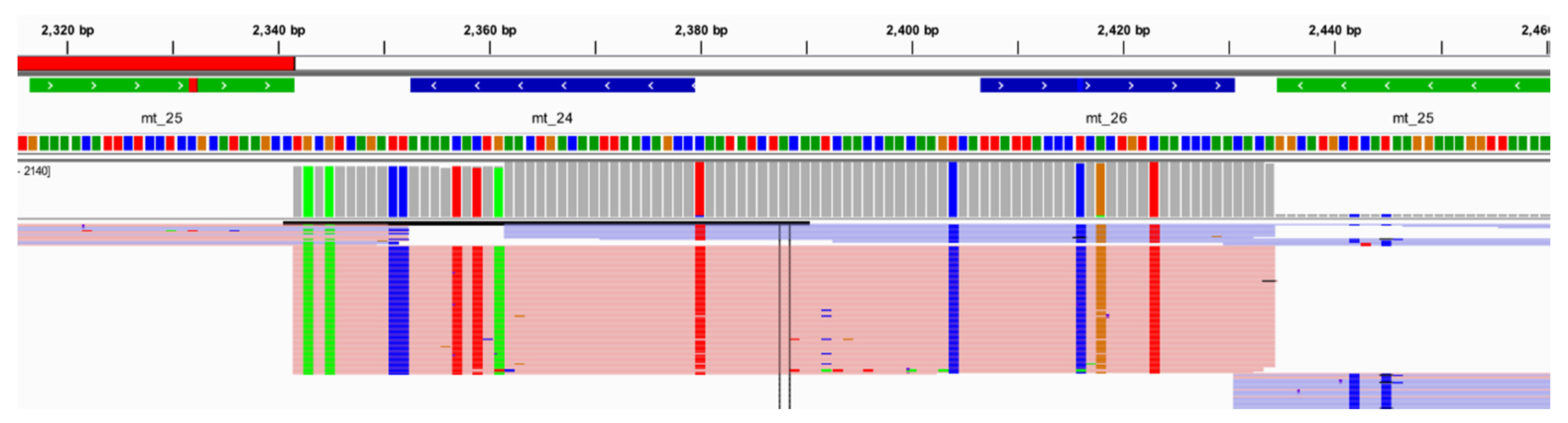 Genes 11 01345 g013
