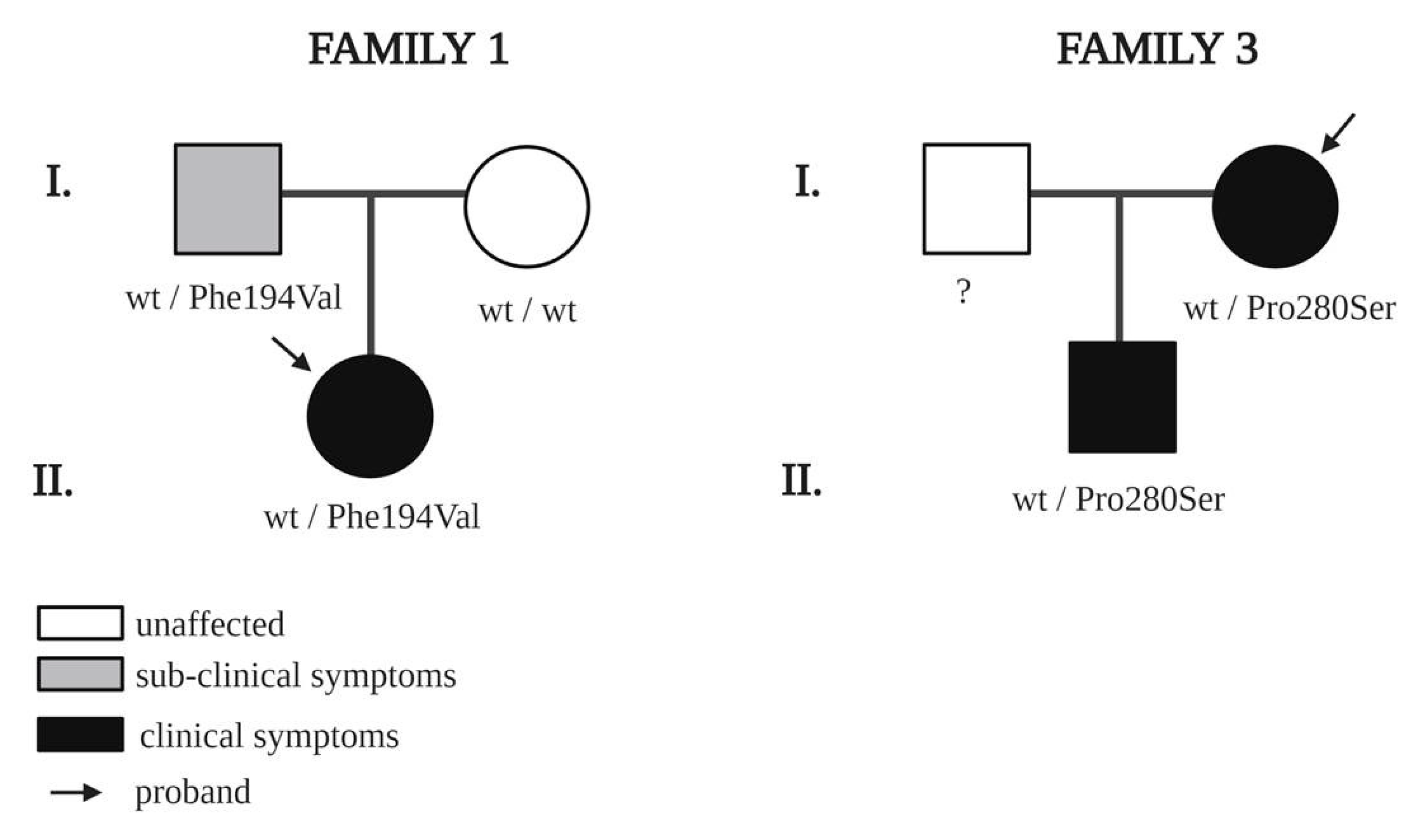 Genes 11 01361 g002