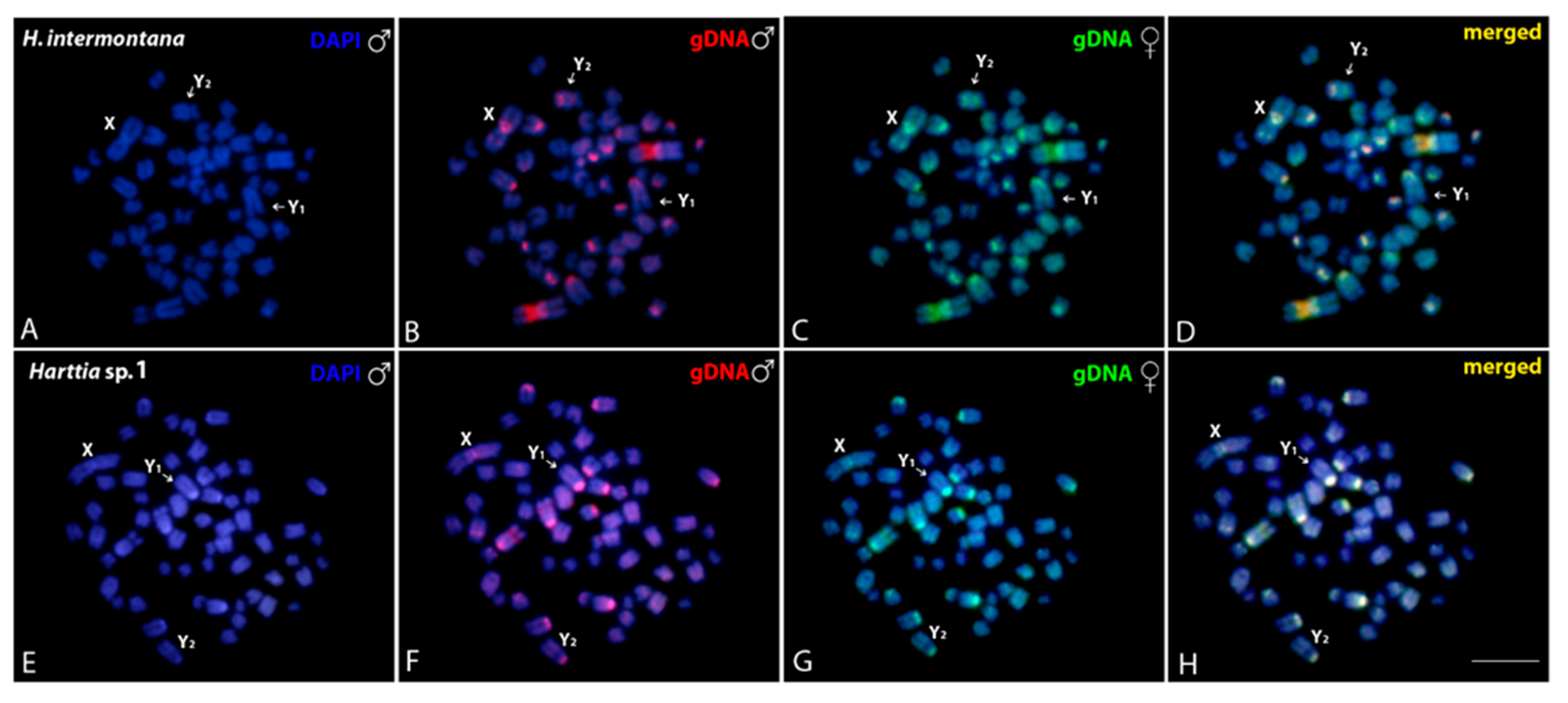 Genes 11 01366 g004