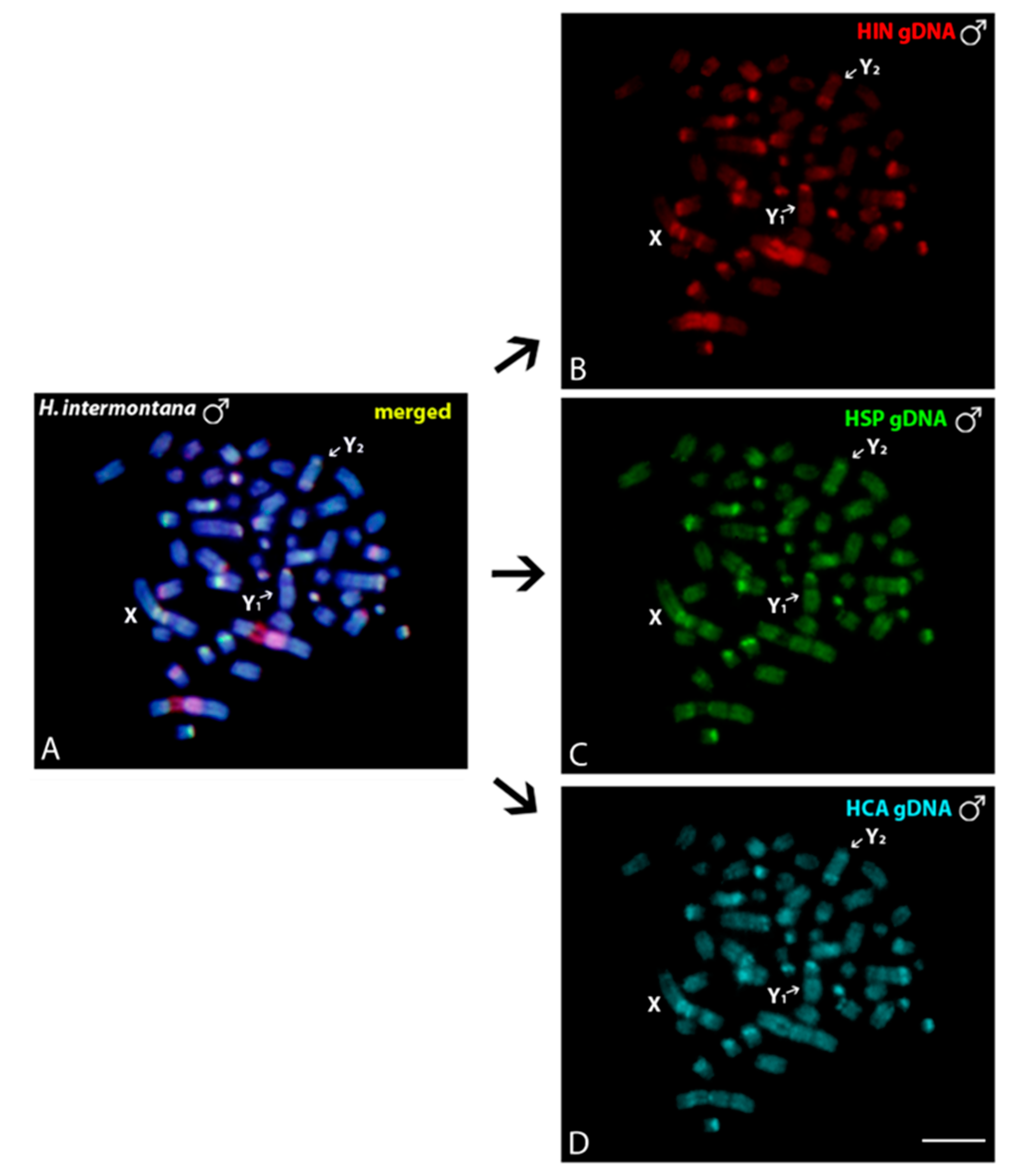 Genes 11 01366 g005